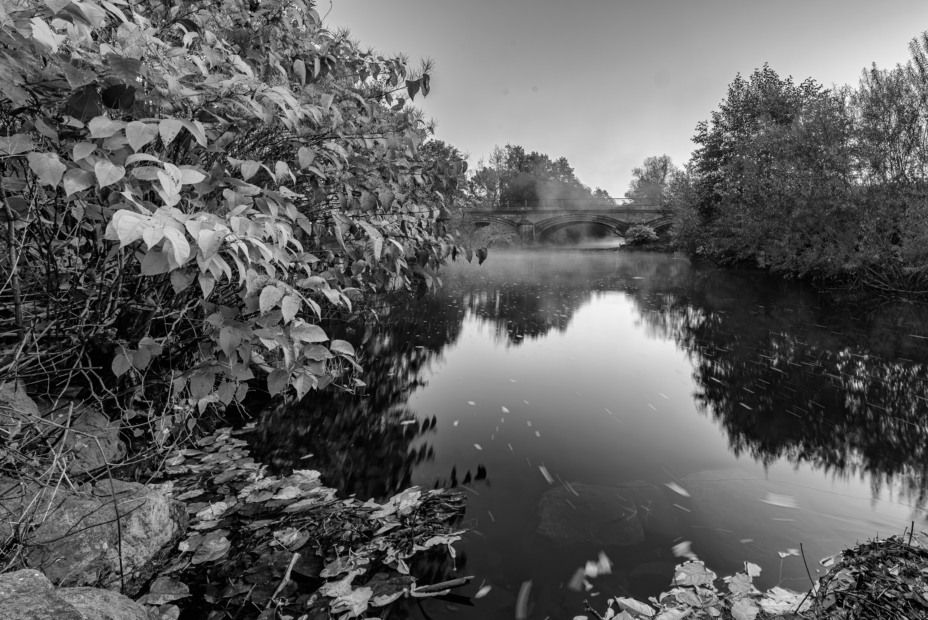La Savoureuse, 41,2 km de longueur, prend sa source à Lepuix, 60m sous le sommet du Ballon d'Alsace qui culmine à 1 250m.
