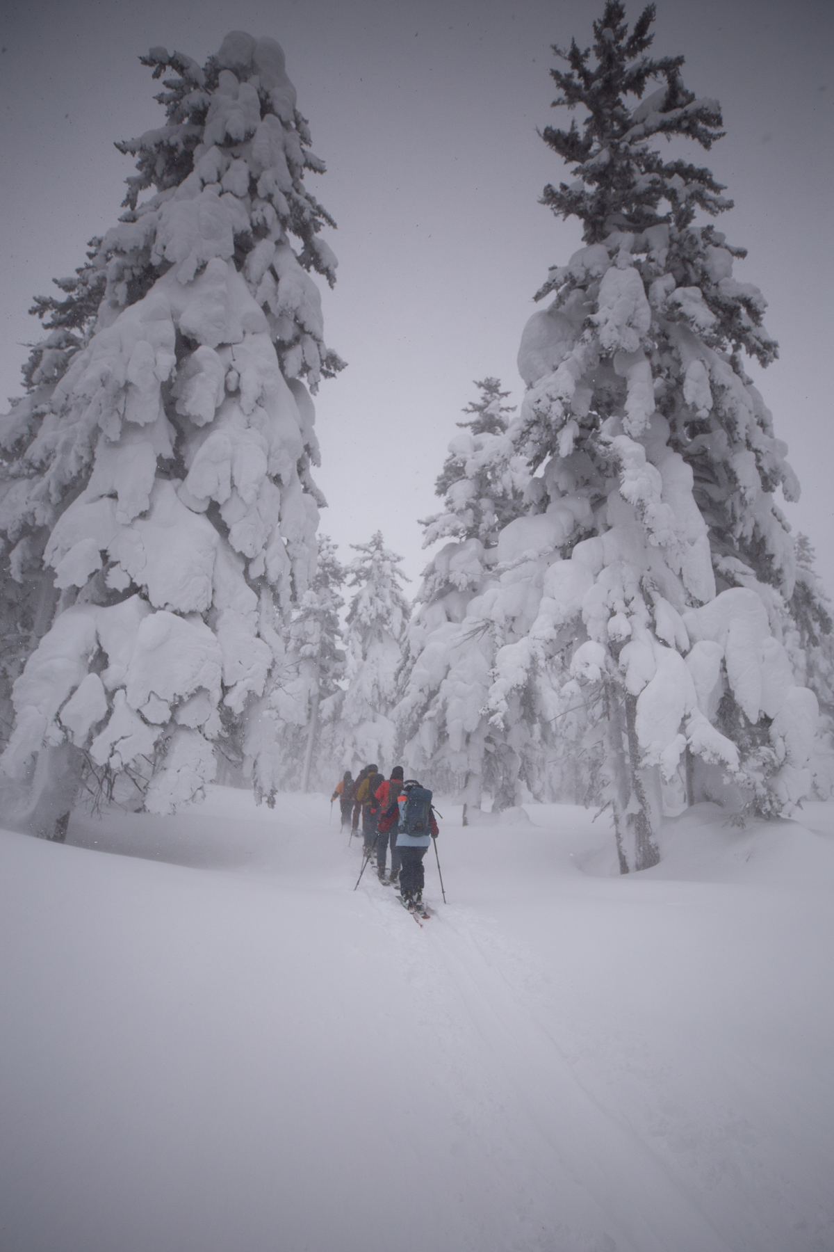 Hokkaido, Japan, 2023