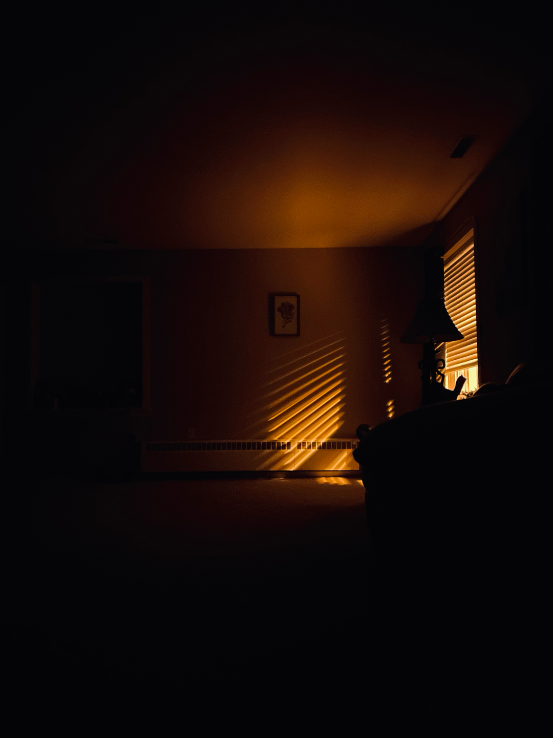 Finding light in unexpected places