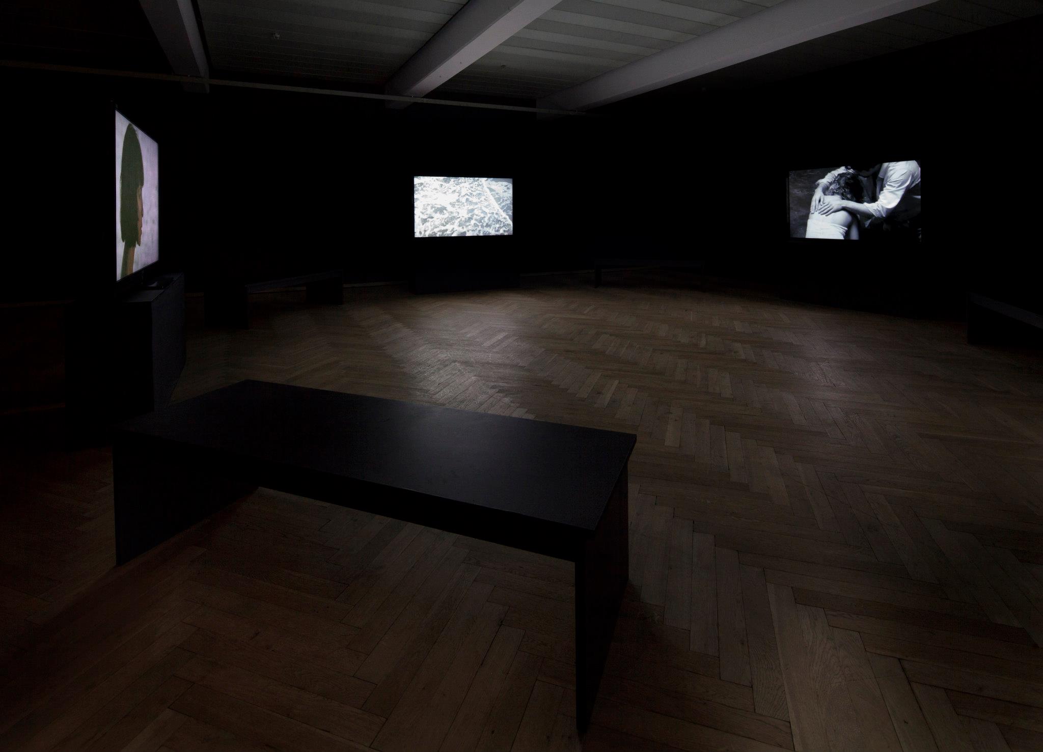 Proyecto "Gesamt. Disaster 501: What Happened to Man?" (Copenhagen Art Festival, 2012)