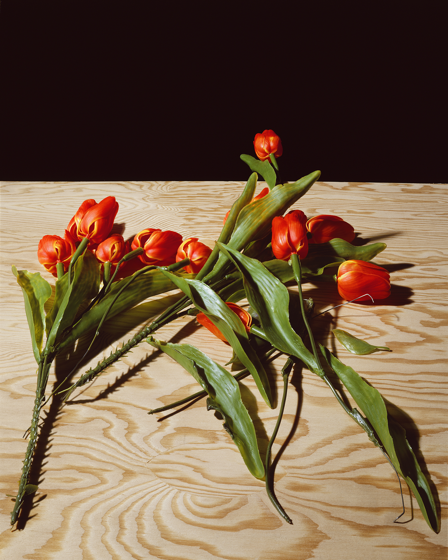 Plastic Tulips, 1993