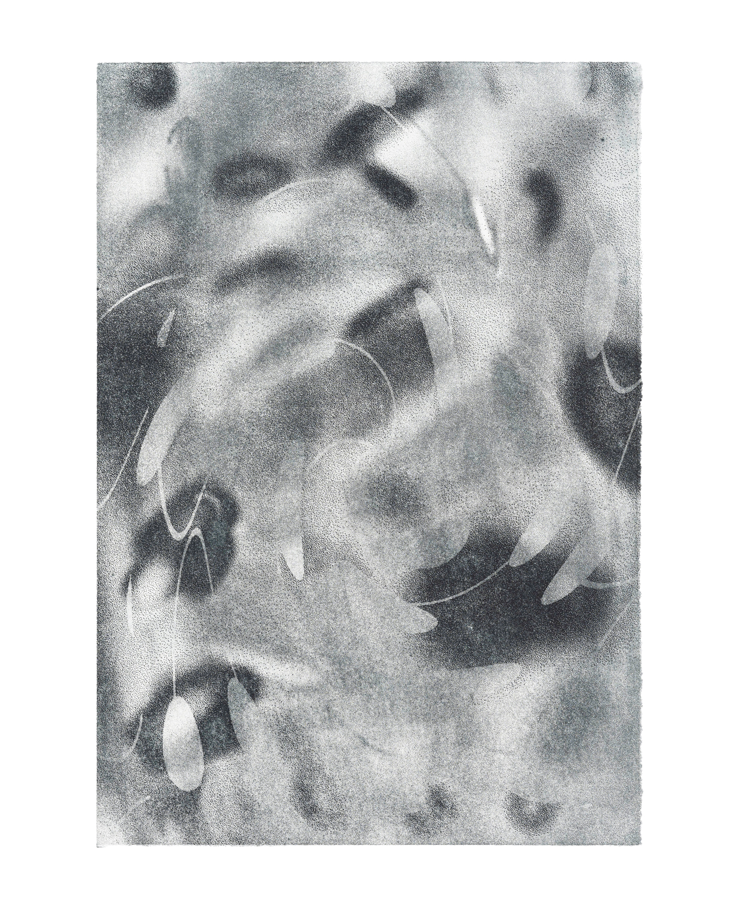 P032, 2021 aquatint etching on handmade paper, mounted on Alu-Dibond 56 x 39 cm Edition 5 + 2 AP