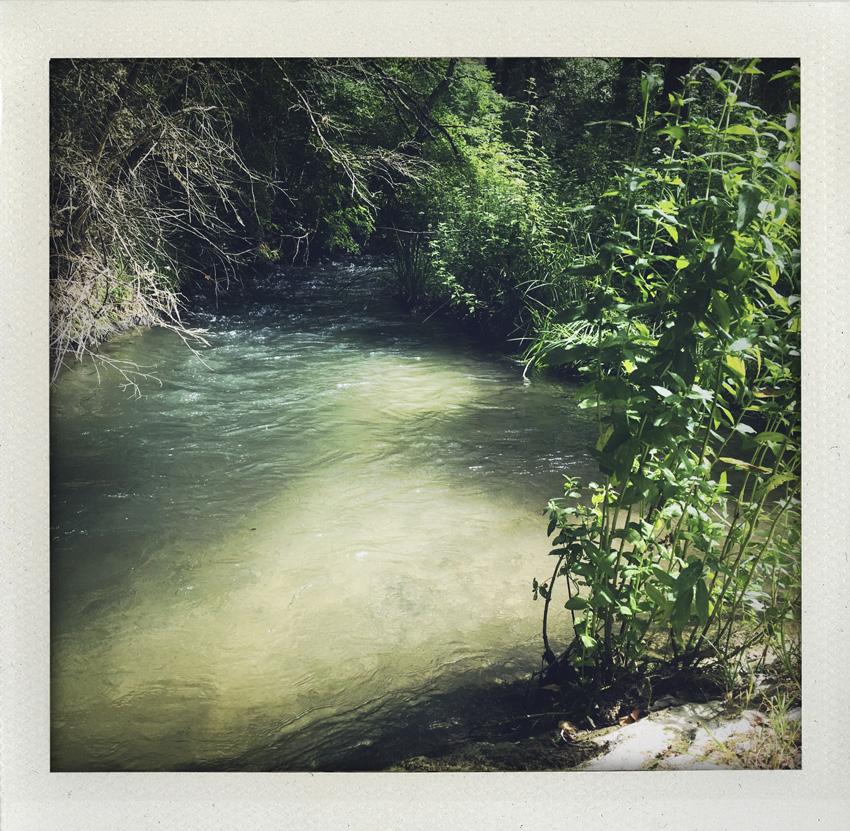 Esparron de Verdon 07/2020