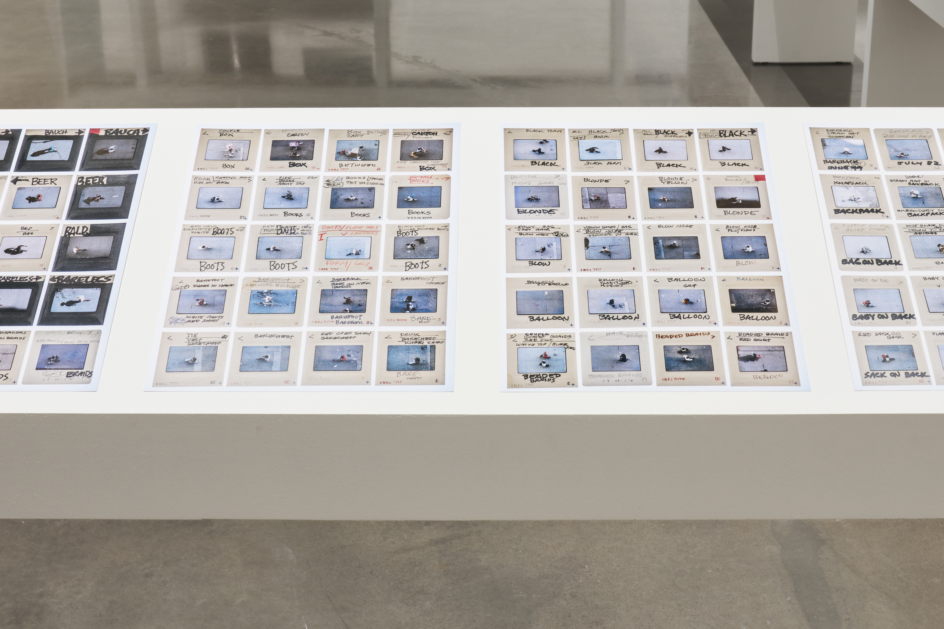 The Fifth Point of the Compass, Hessel Museum of Art, April 1 – May 28, 2023