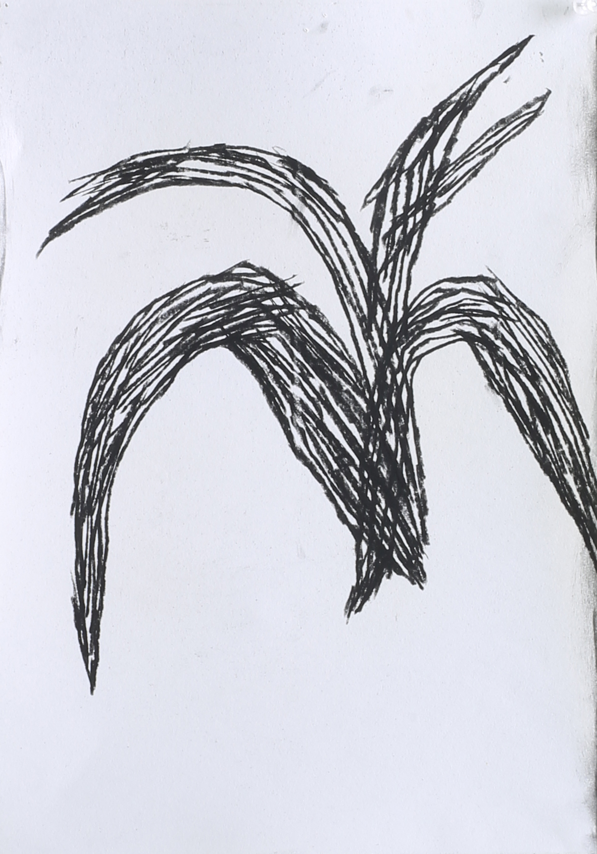 뿔horn_charcoal on paper_29x21cm_2014