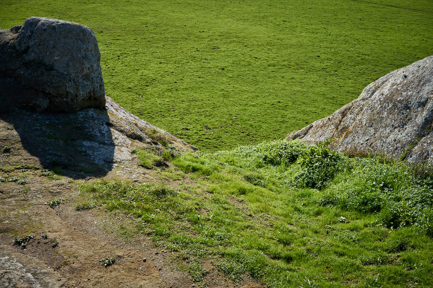 2019 Bodega Bay California