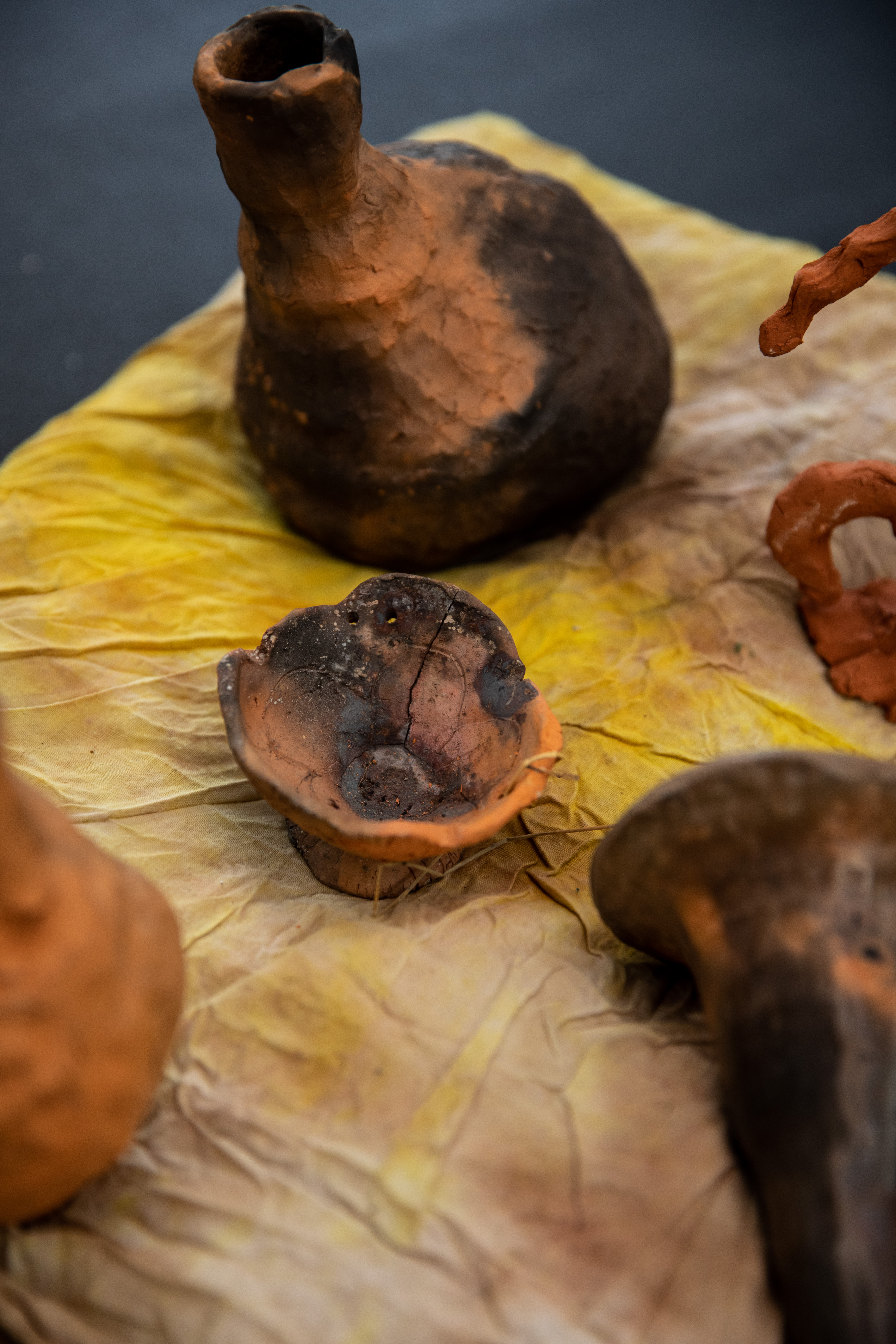 'Gathered', installed at Shop Front, 2022
