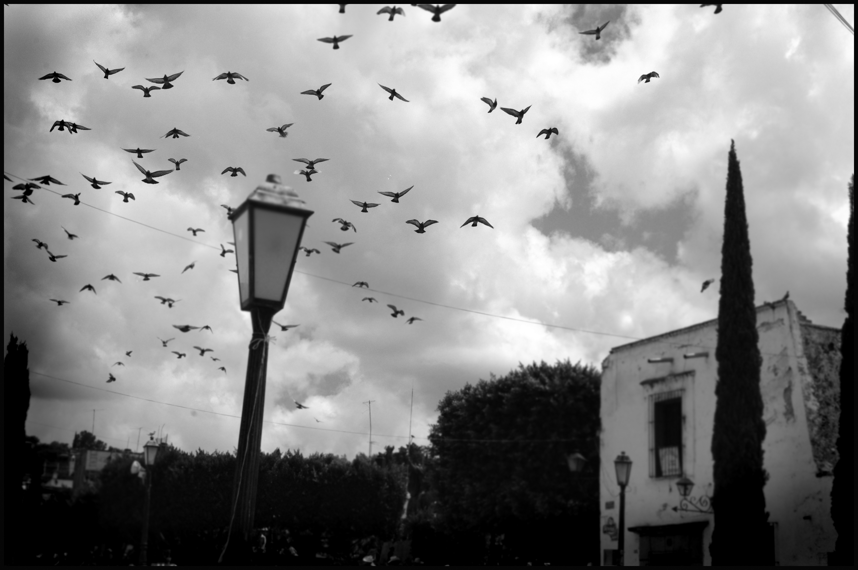 San Miguel de Allende, MX