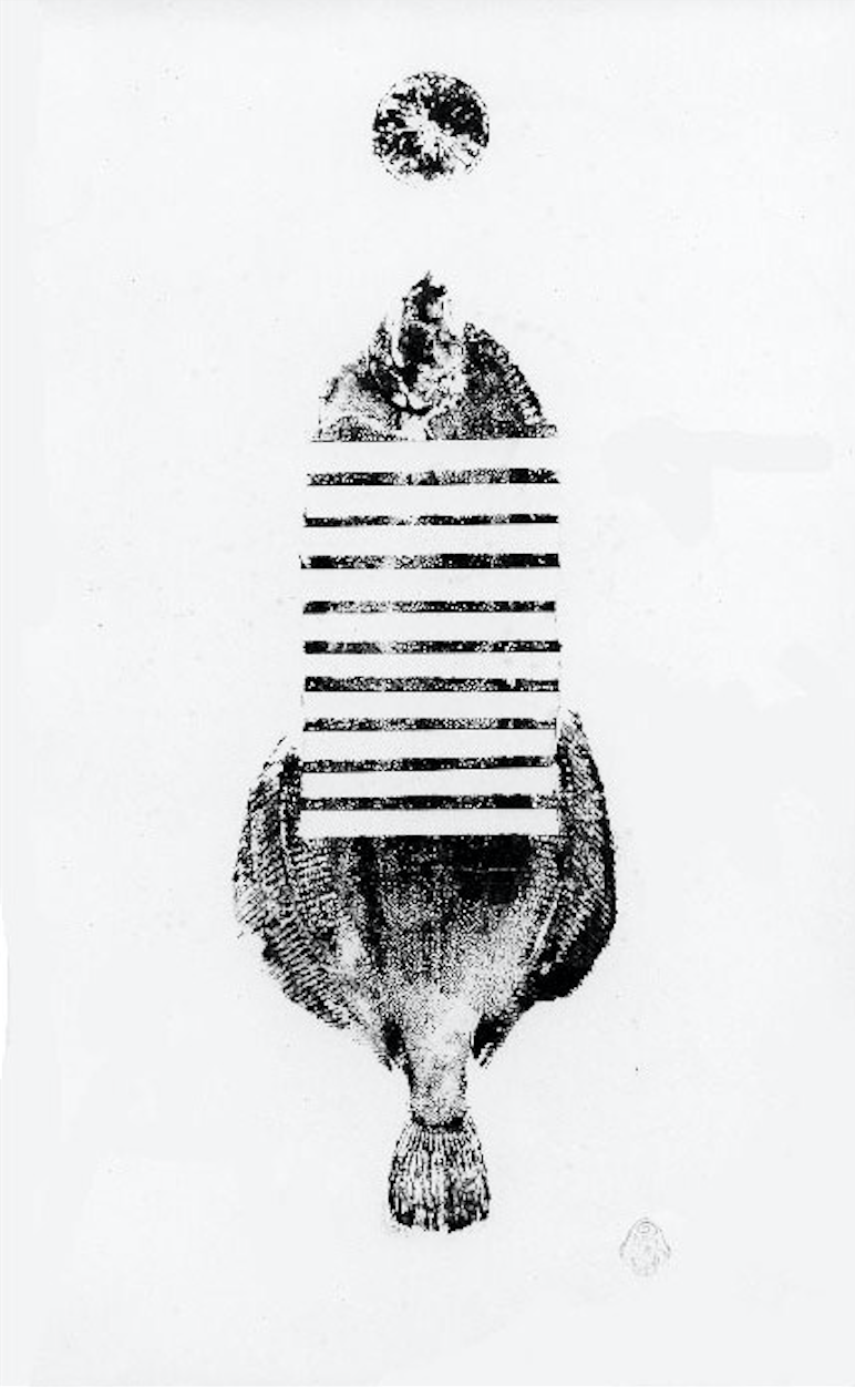 01- Poisson composite, 86x52 cm