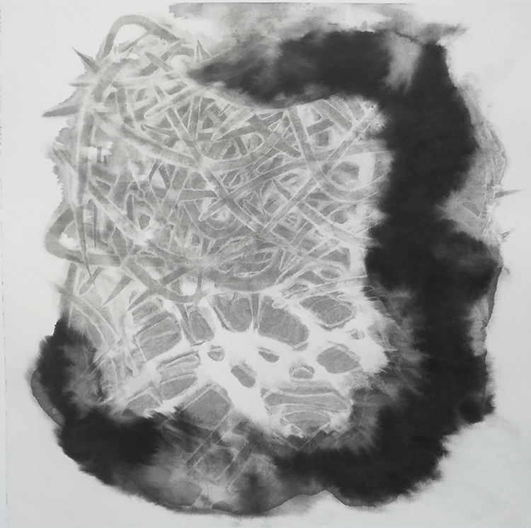2019 tidal pool / from the carboniferous period, 50cmx50cm