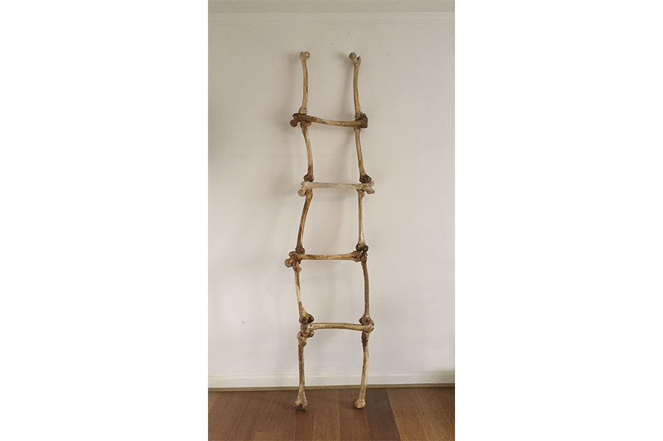 Arturo DuclosREWE (Escalera al cielo), 2016Assembly of human femurs200 x 48 cm