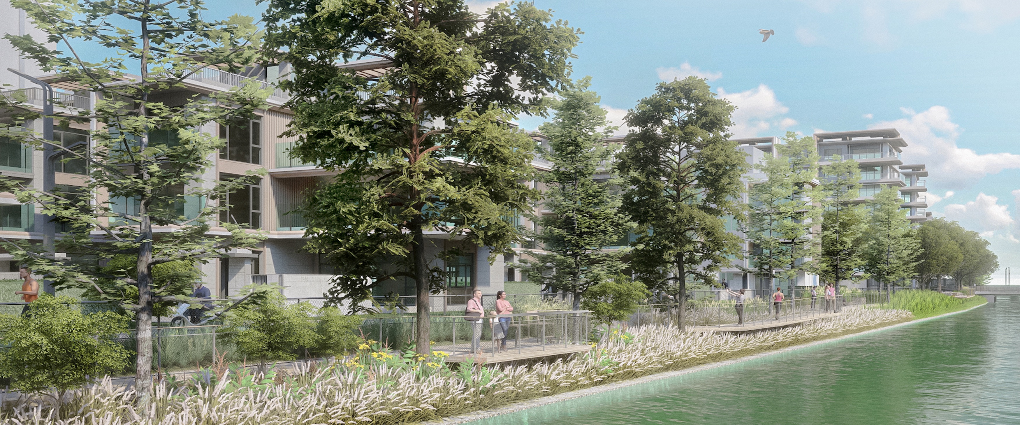 现代江南魅力的低层水岸住宅