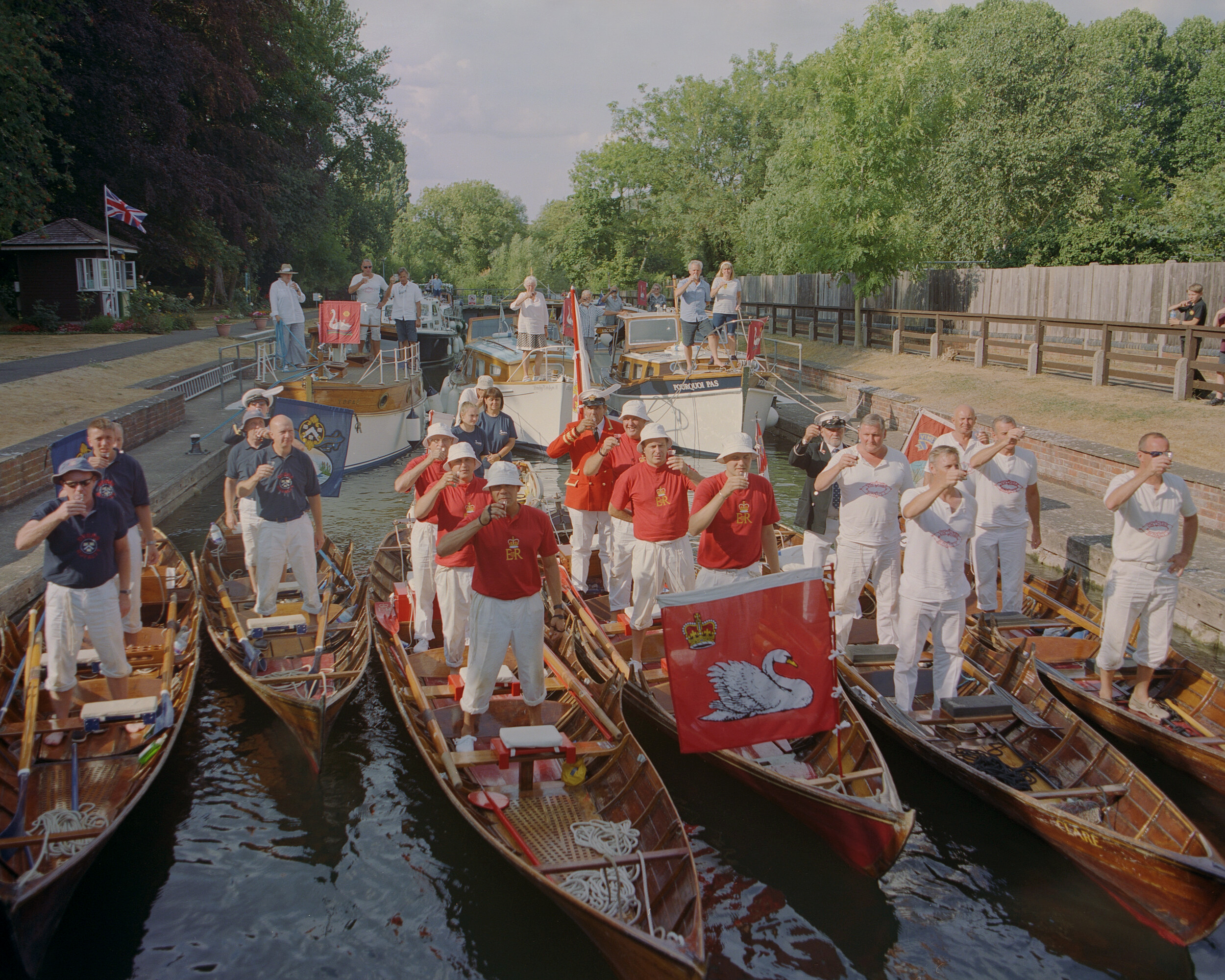 SWAN UPPERS on River Thames