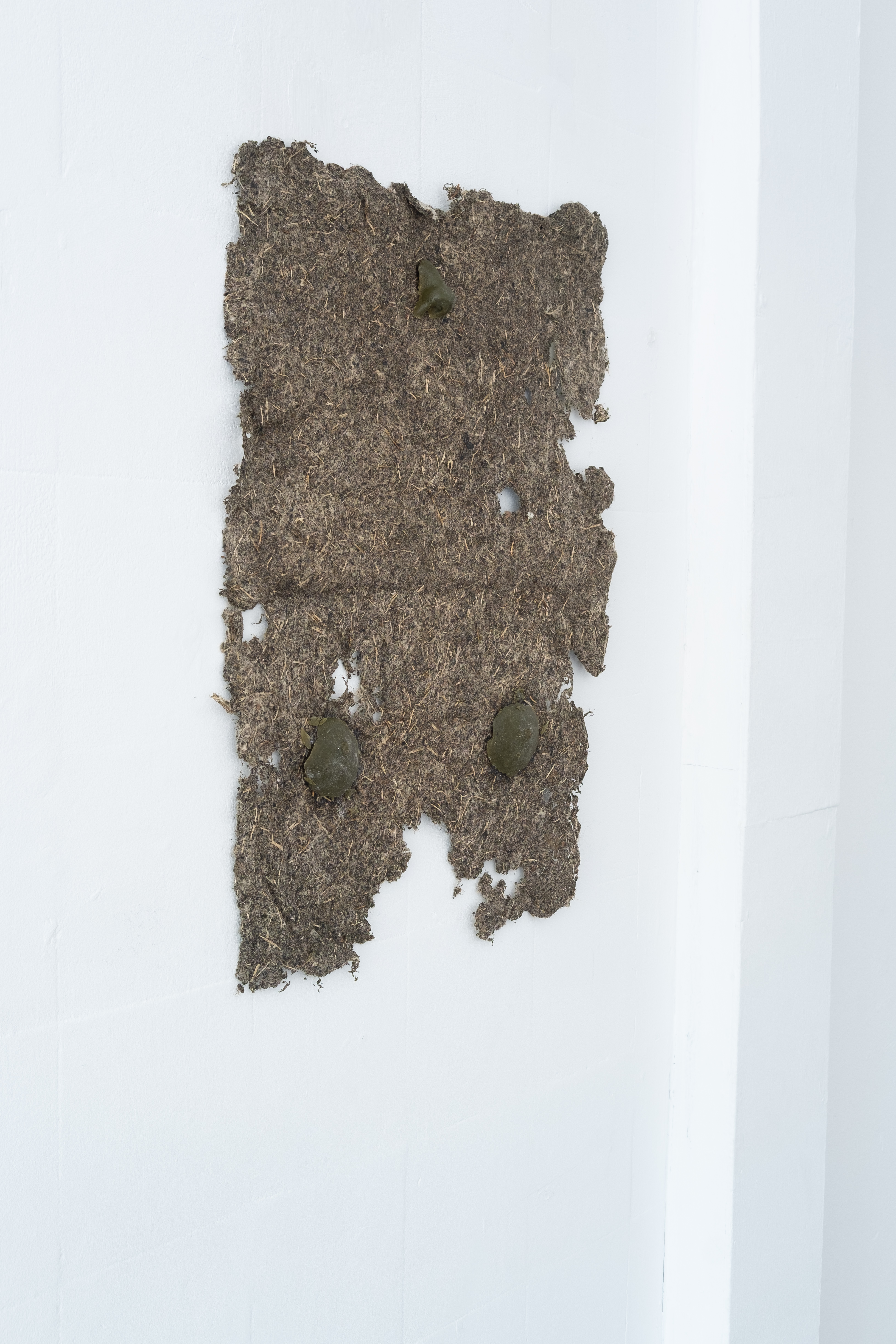 Three Lonely Things". Jasmine Pajdak