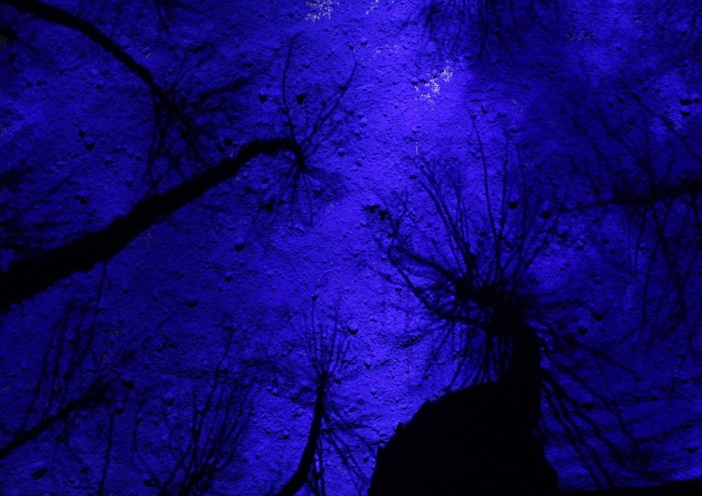 Dragoș Bădiță, Vertigo, video installation, loop, 2017