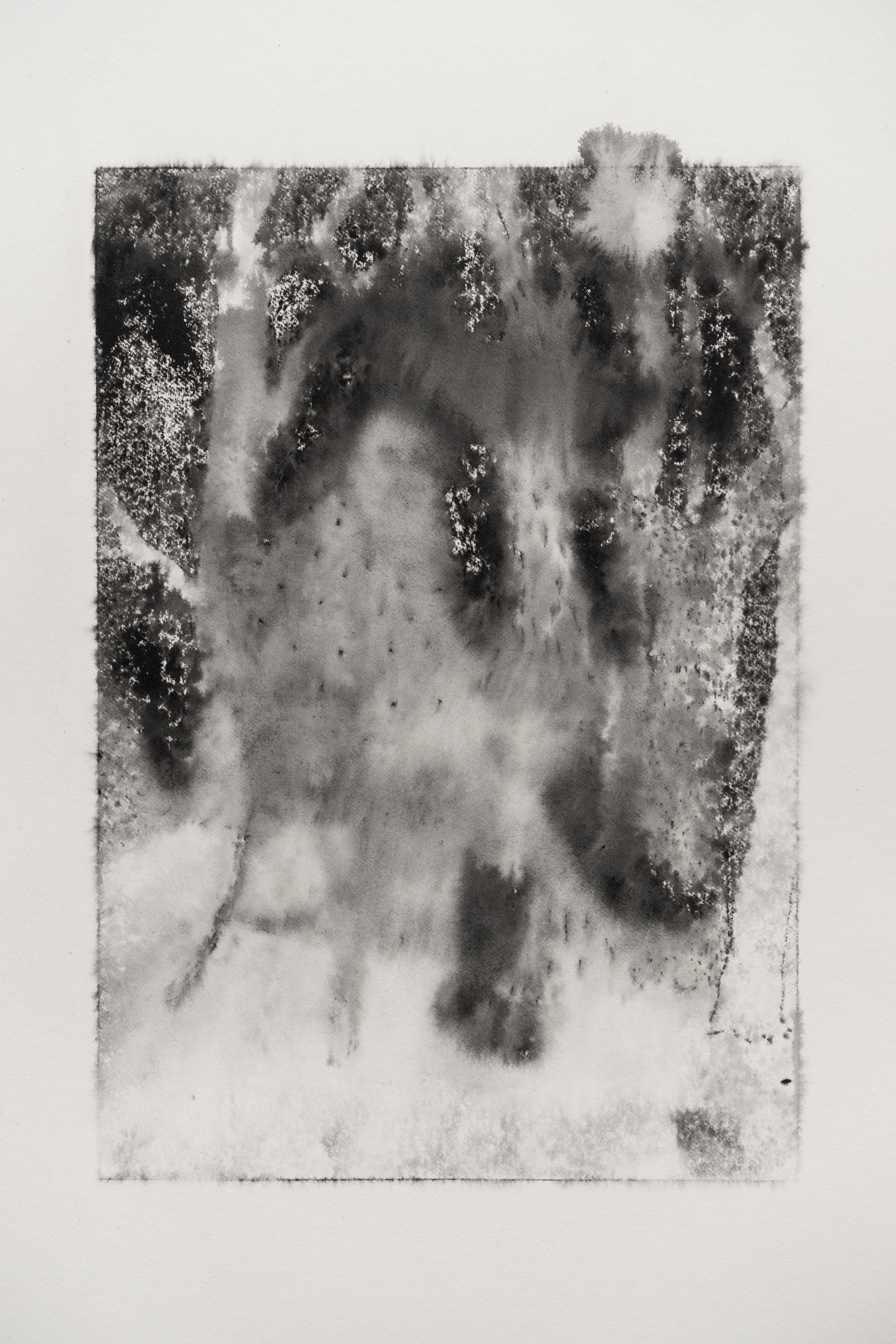 Lev Nikolajevič Tolstoj / A3 / 2021