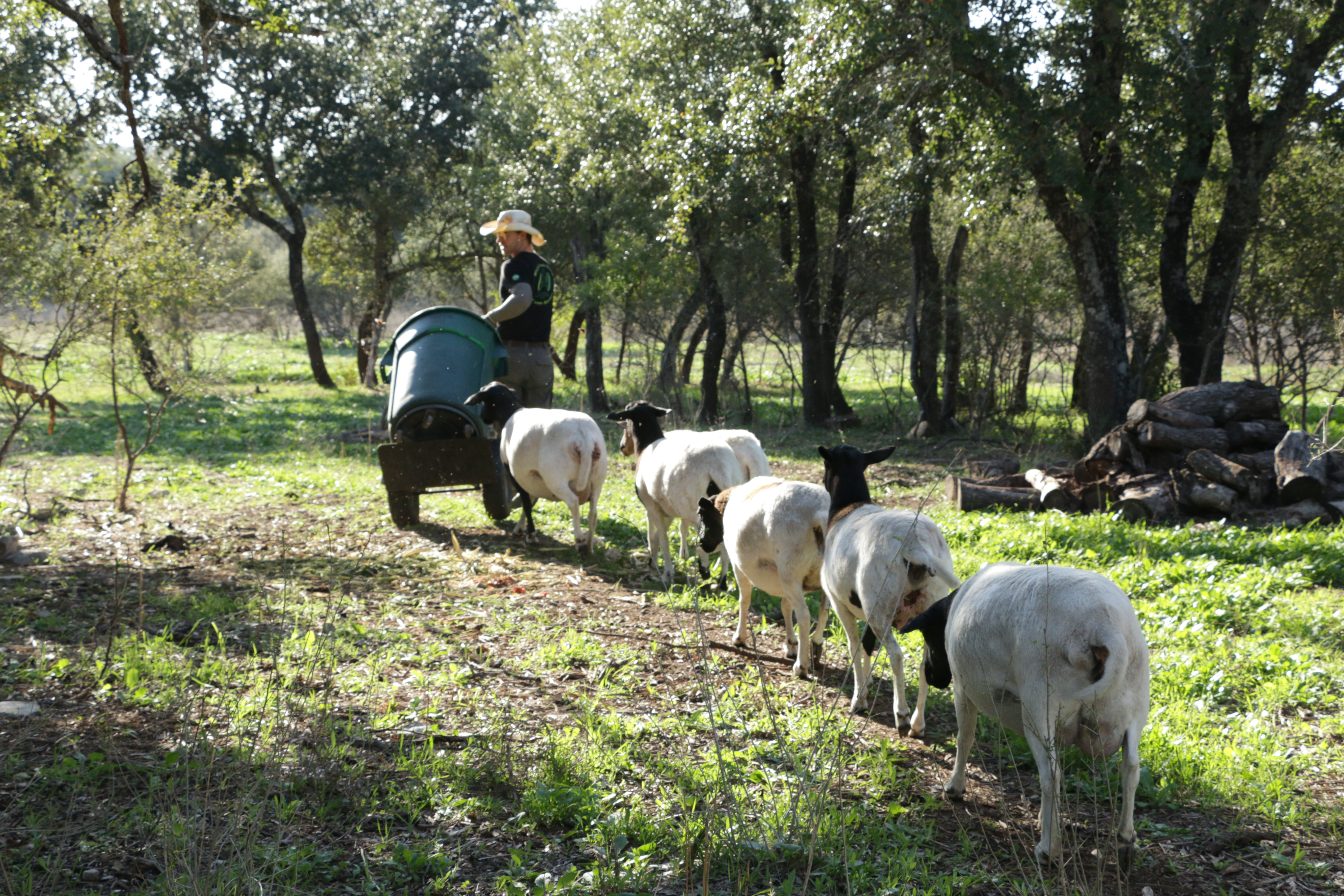 All photos by Lina Fisher