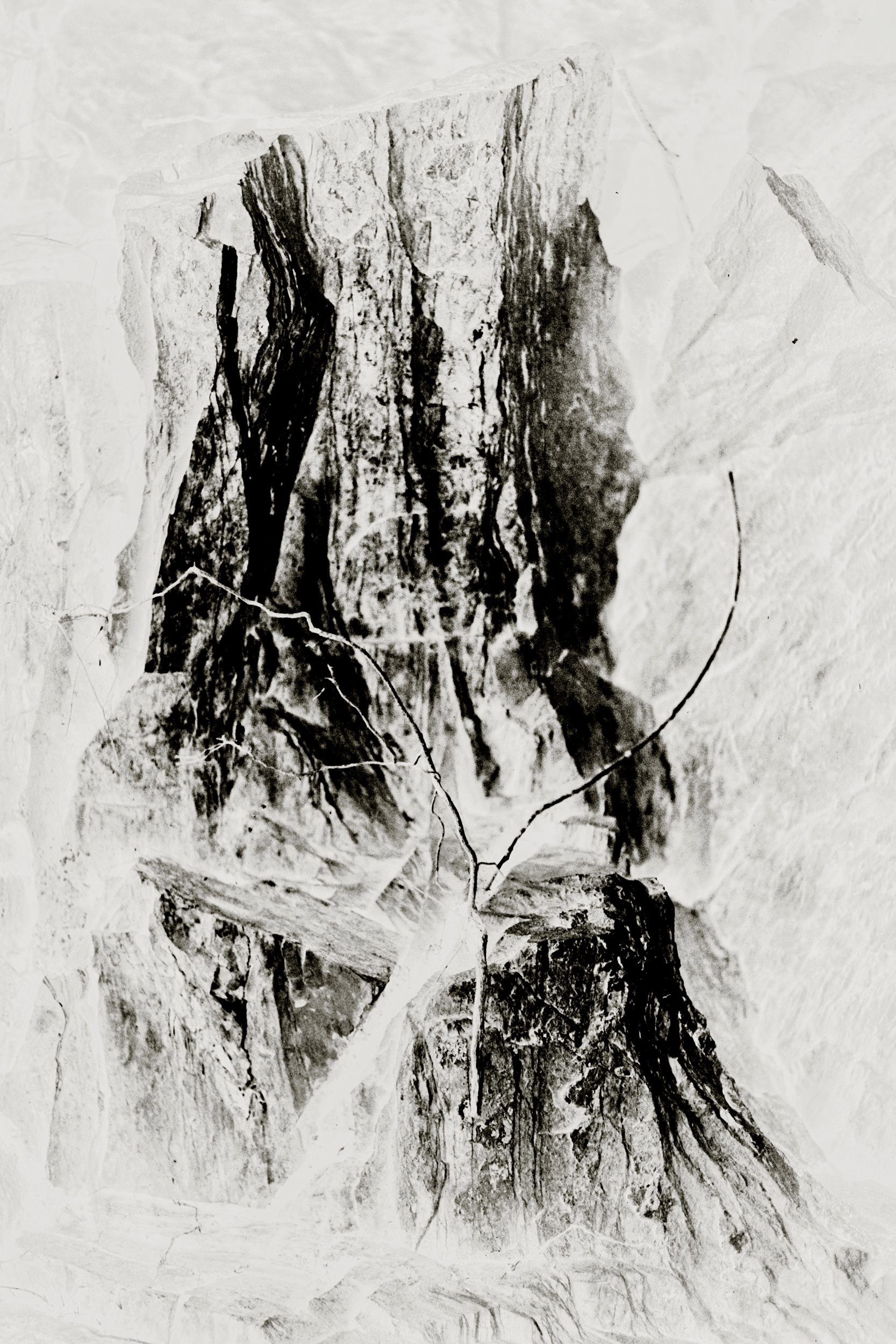 Feminine | Silver gelatin print | 14x10 cm | Portugal 2019