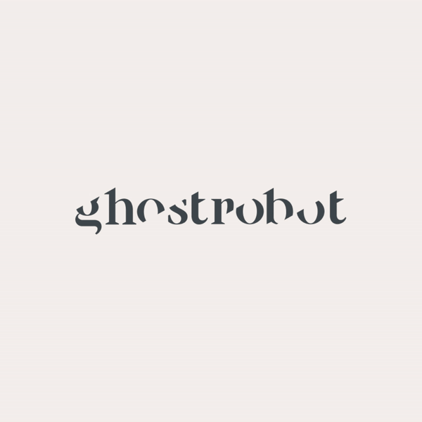 Ghost Robot
