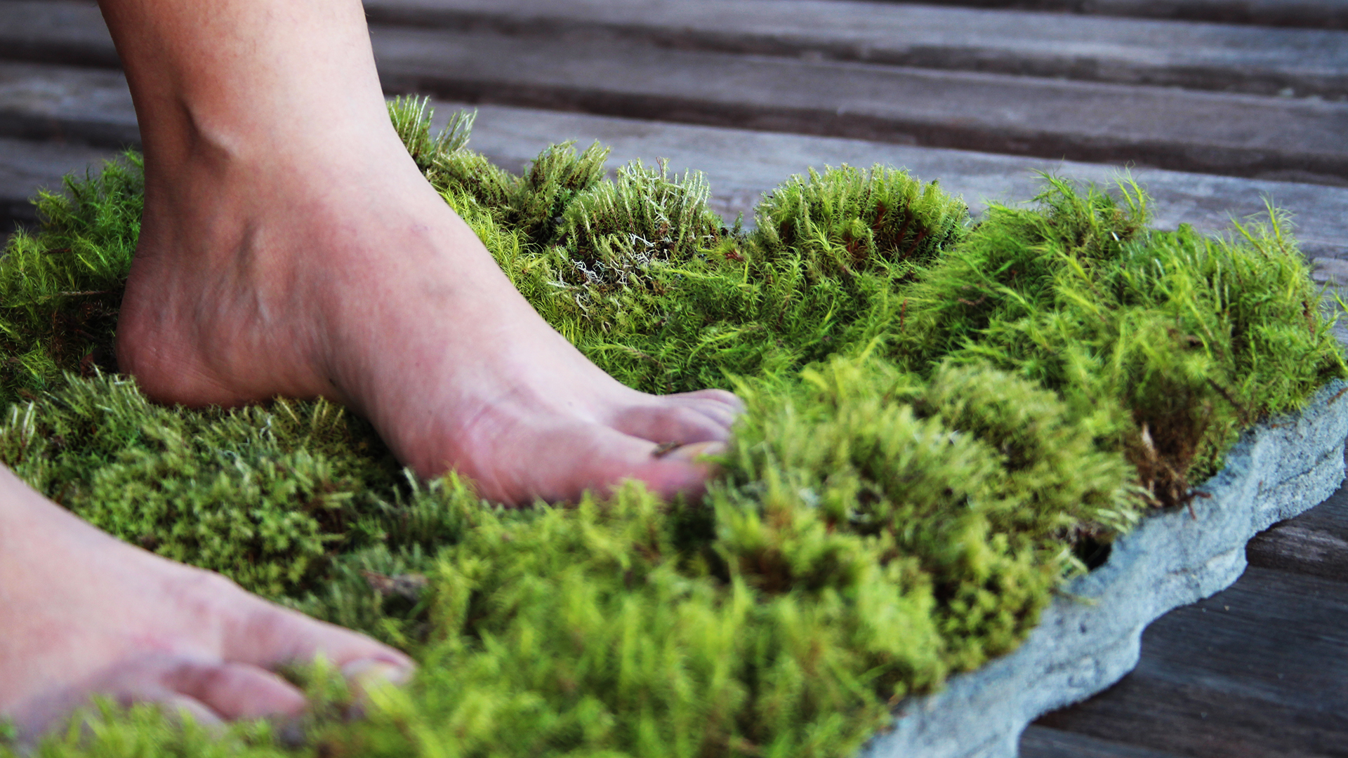 Living Moss Bath Mat by Nguyen La Chanh. - Design Is This