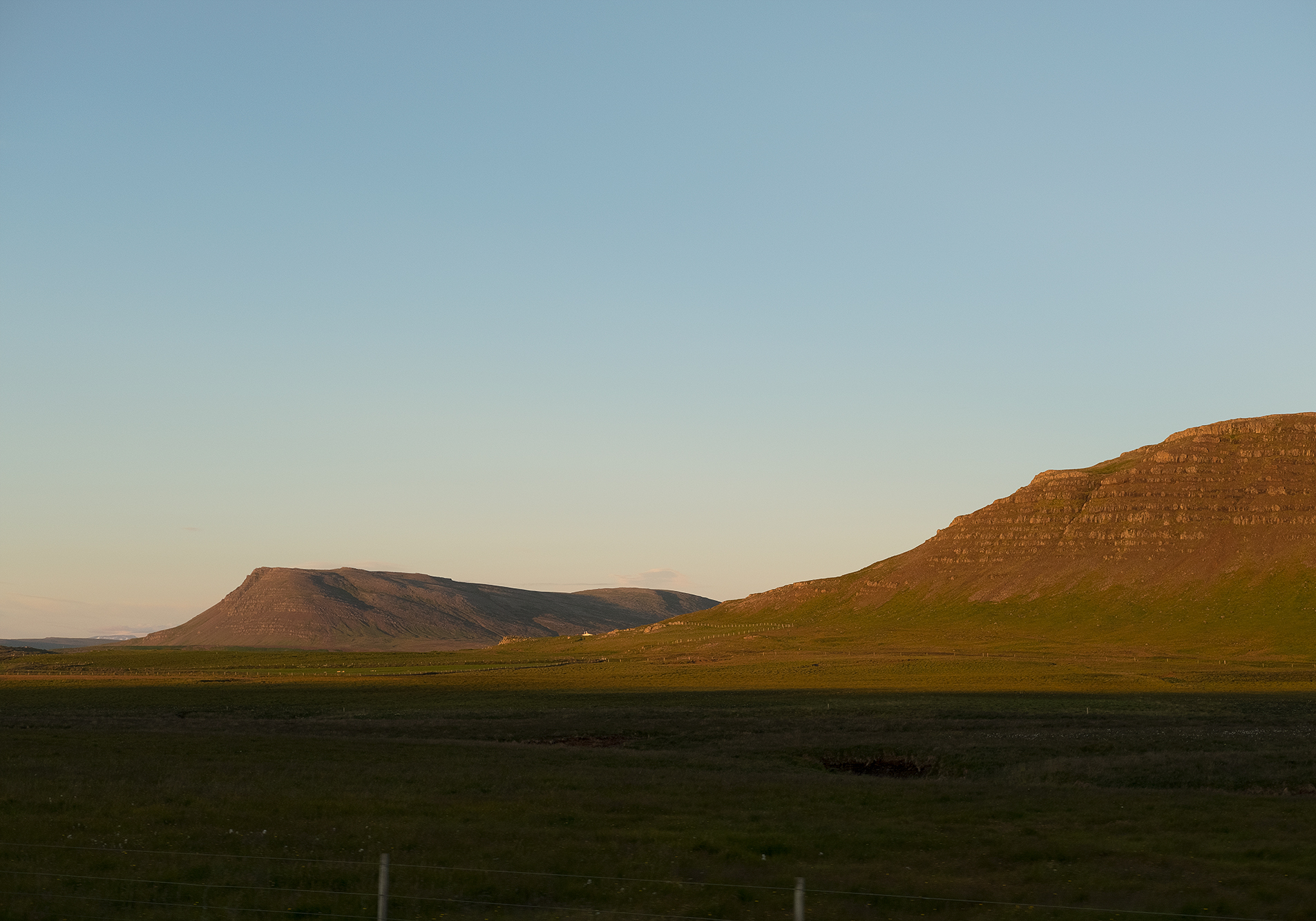 Domingo Nardulli TIFF