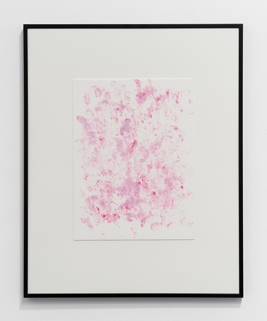 Berry Blood, 2023, raspberry pigment on paper, 20 x 16 in. (50.8 x 40.6 cm.) 