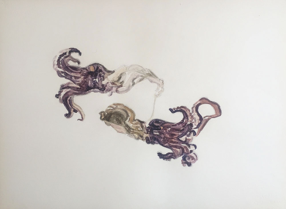 Flore, aquarelle, 56 x 76 cm, 2017