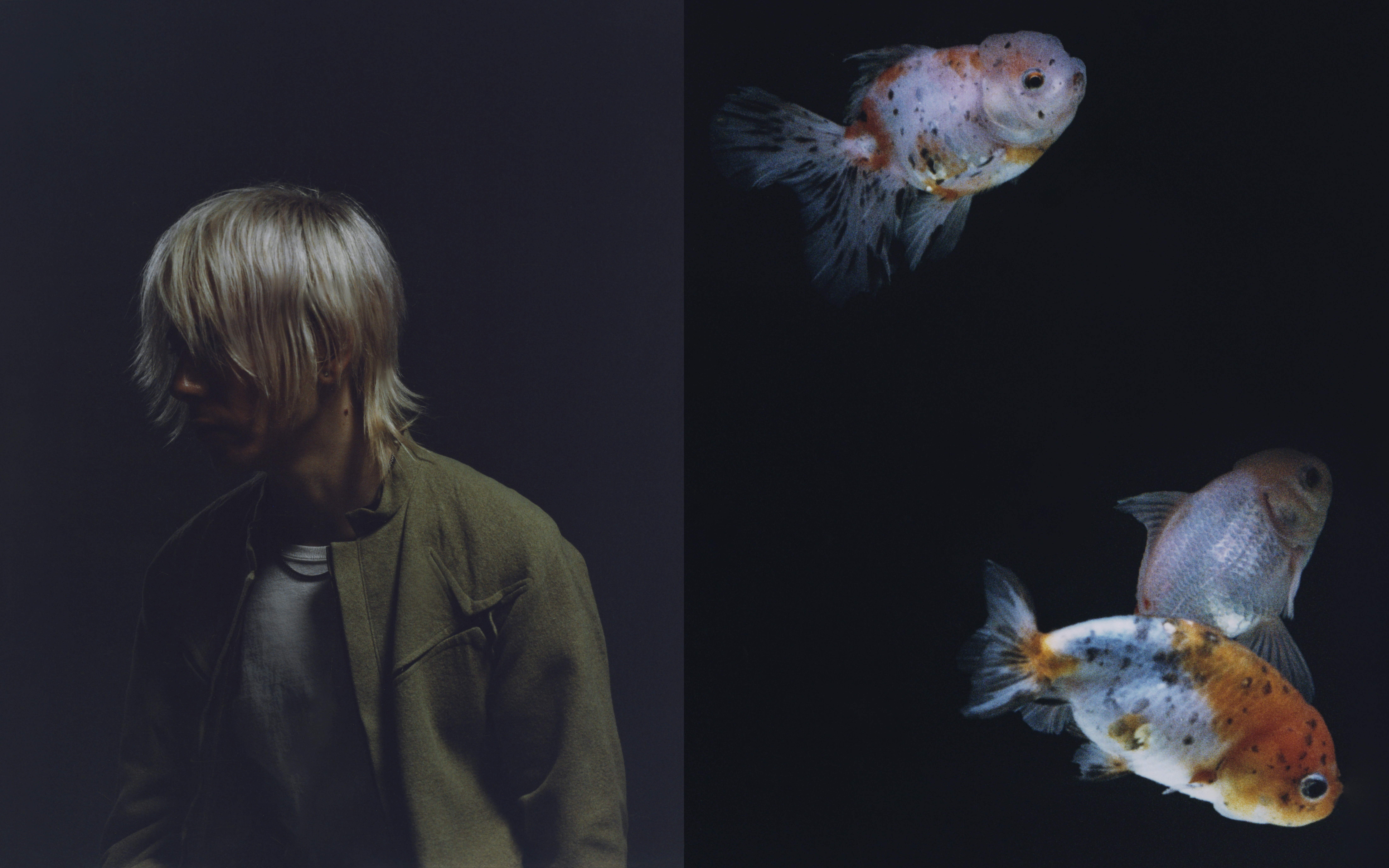 "chasing moving trains" by roy blair