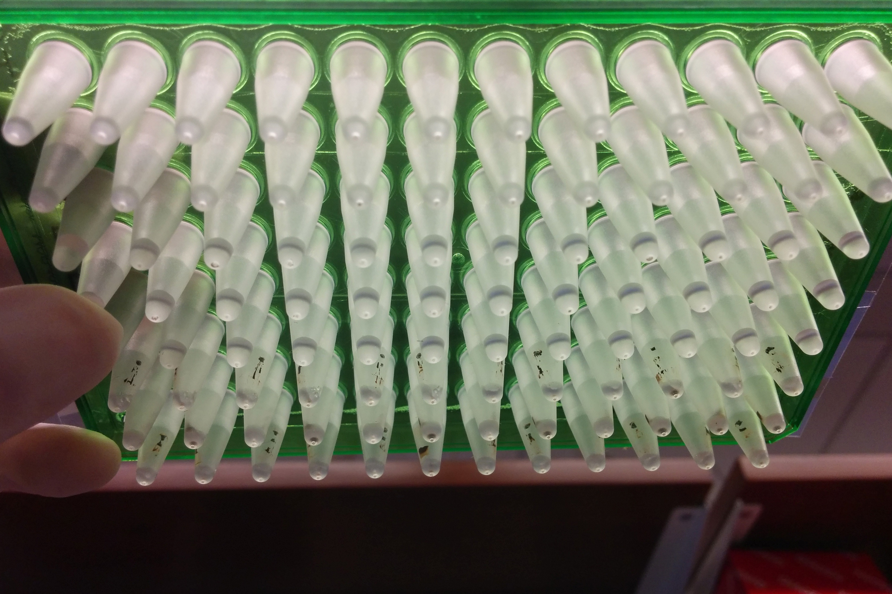 Preparing samples to be sequenced