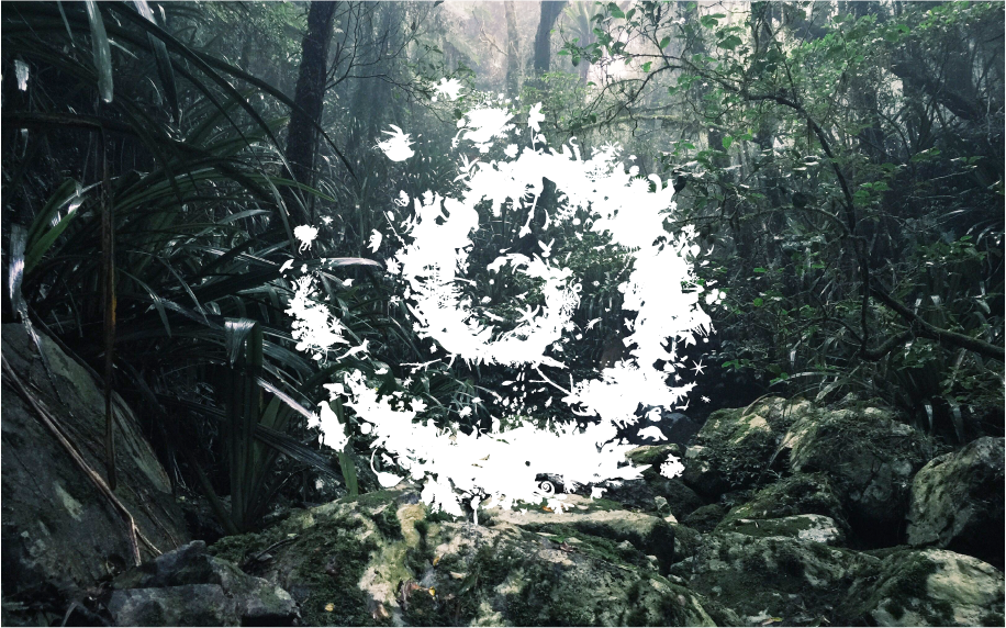 Exposition permanente - Parc national de la Guadeloupe (en cours)