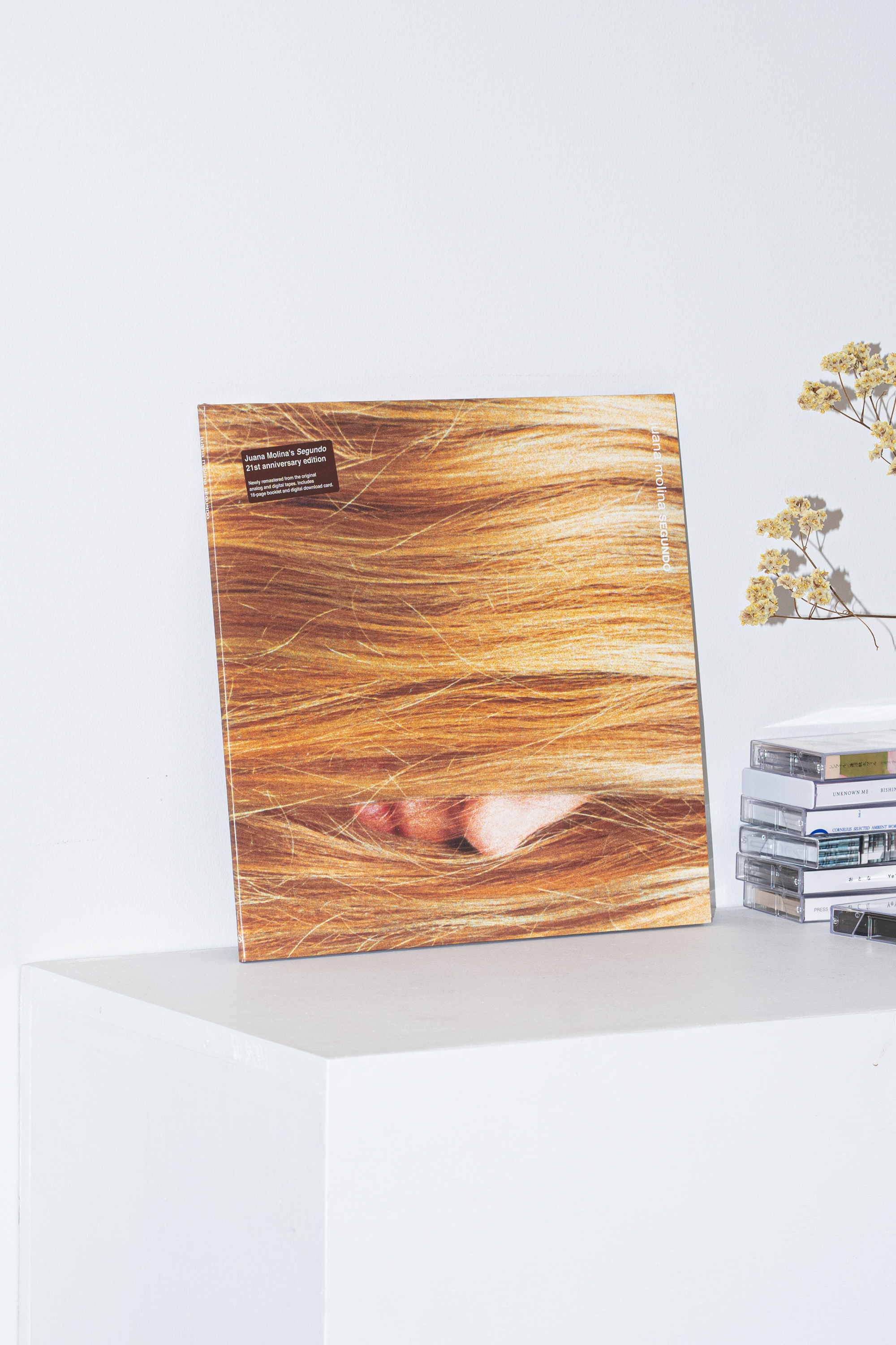 segundo - juana molina - 2000