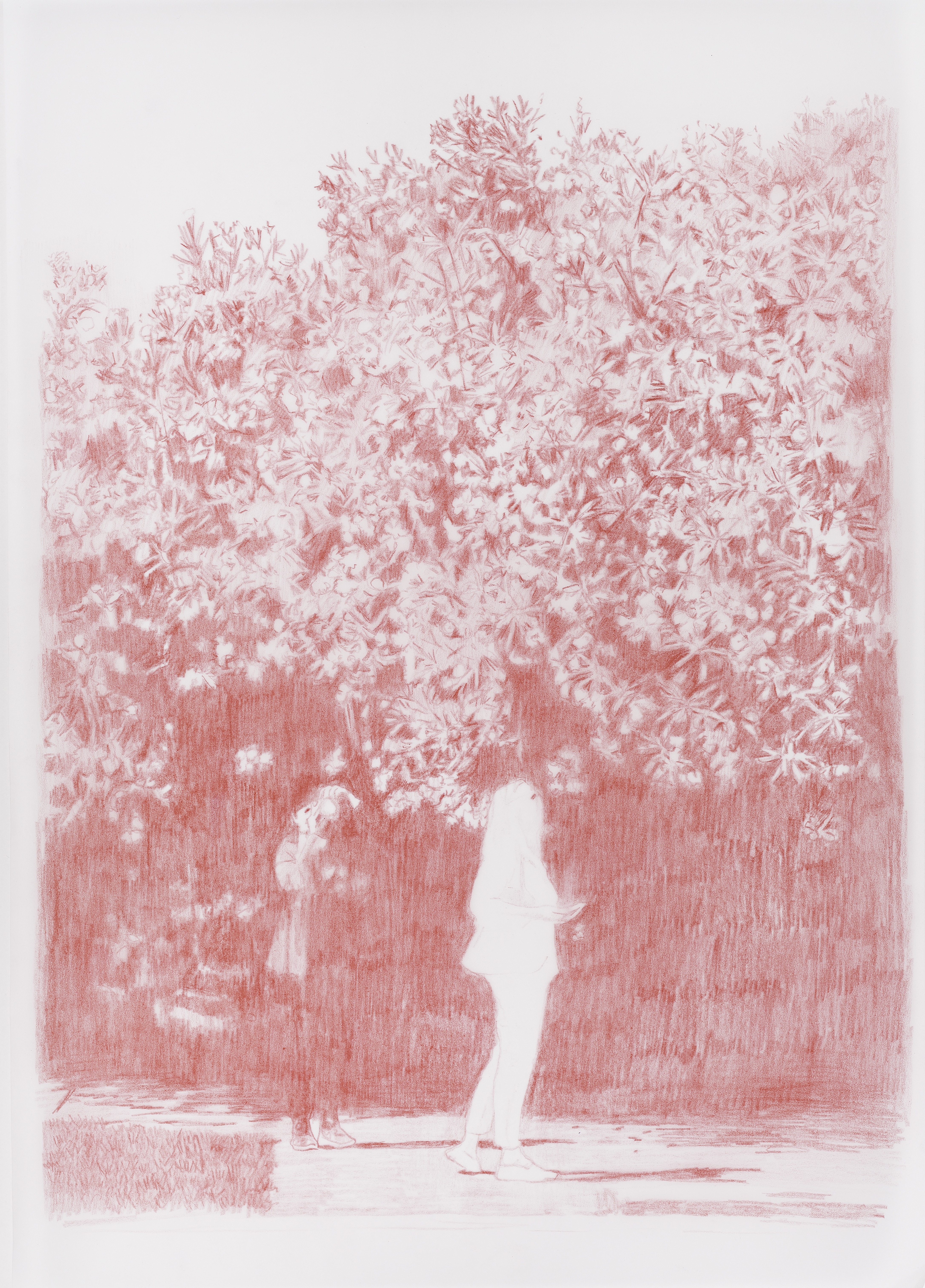 Two figures and a Jacaranda, 2020. Crayon on tracing paper, 29.7 x 42cm