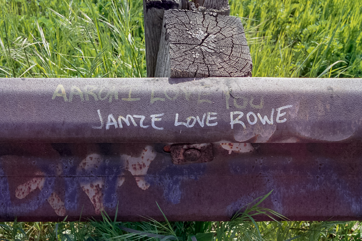 GW National Forrest, Virginia, 5/2021