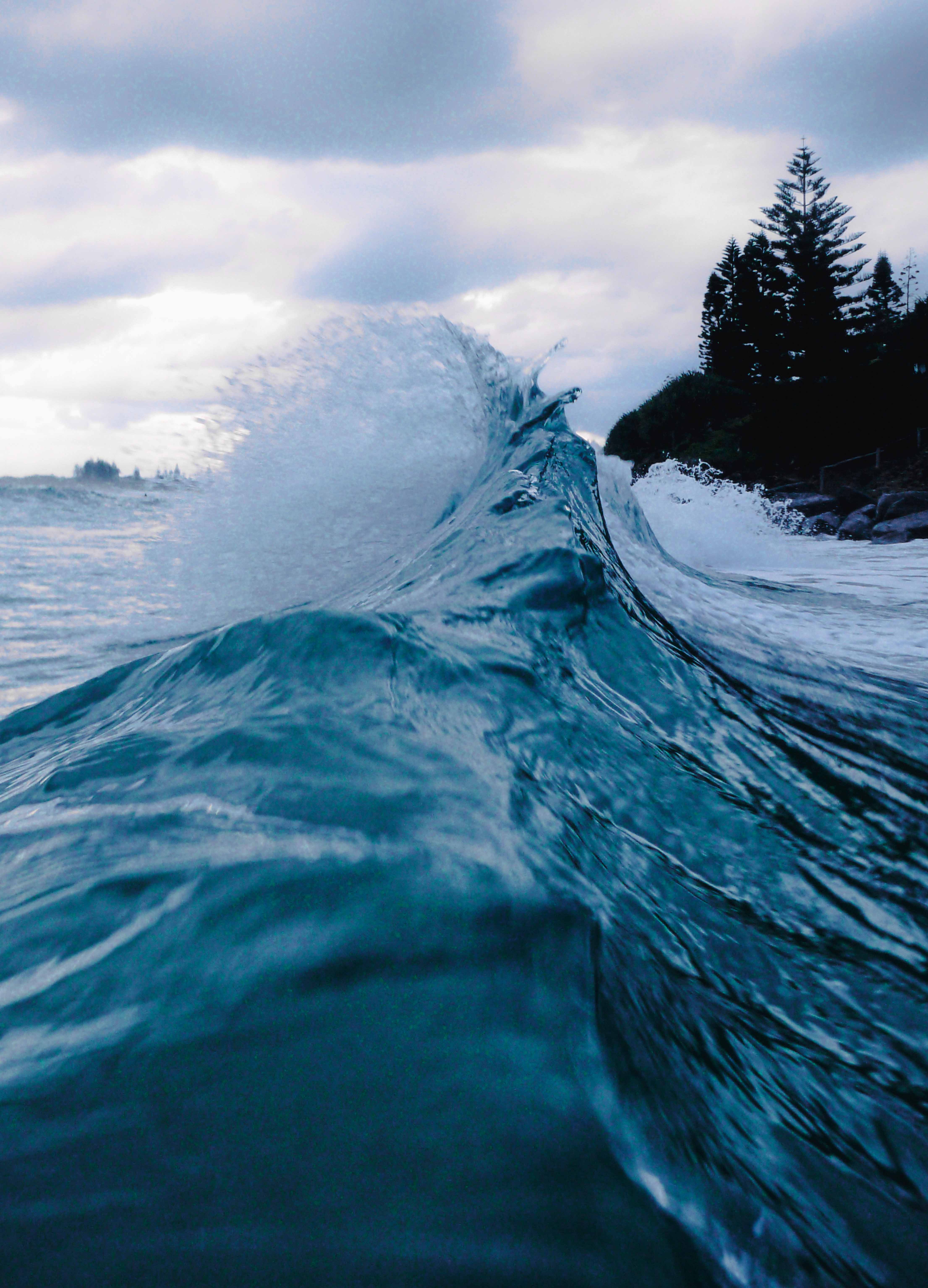 IMMERSION