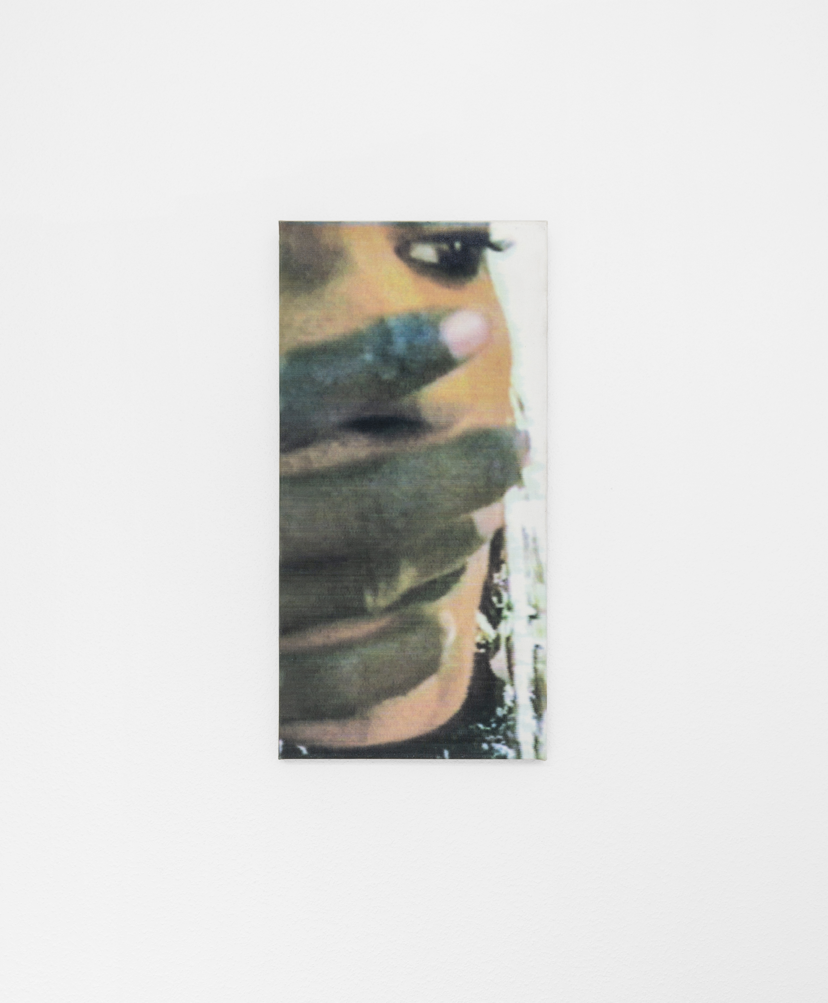 Untitled, 2002, acrylic on canvas, 39 3/8 x 19 3/4 in. 100 x 50 cm.