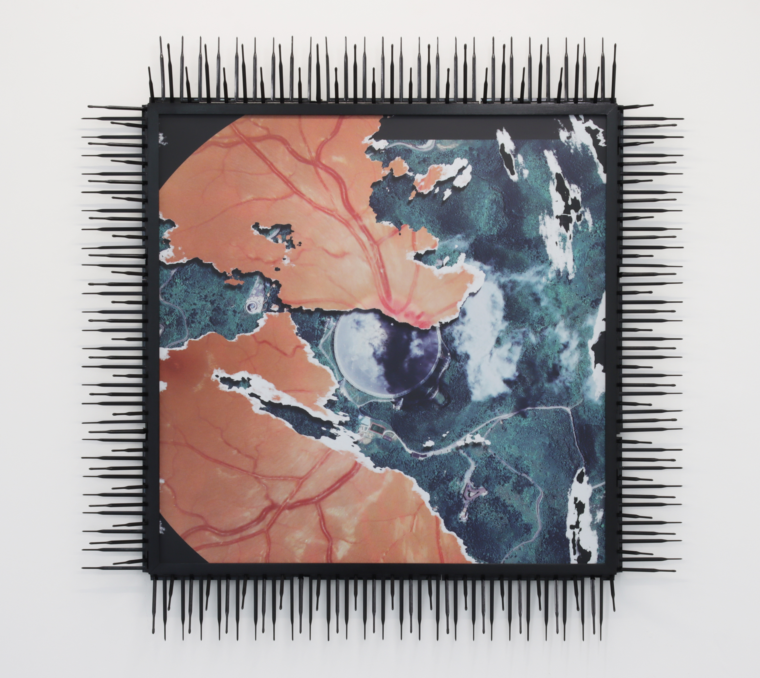 The captive eye (cornea/satellite), 2023, thermoplastic bird deterrents, laminated inkjet print on vinyl, custom frame, 41 x 41 x 5 in. (104 x 104 x 11 cm)