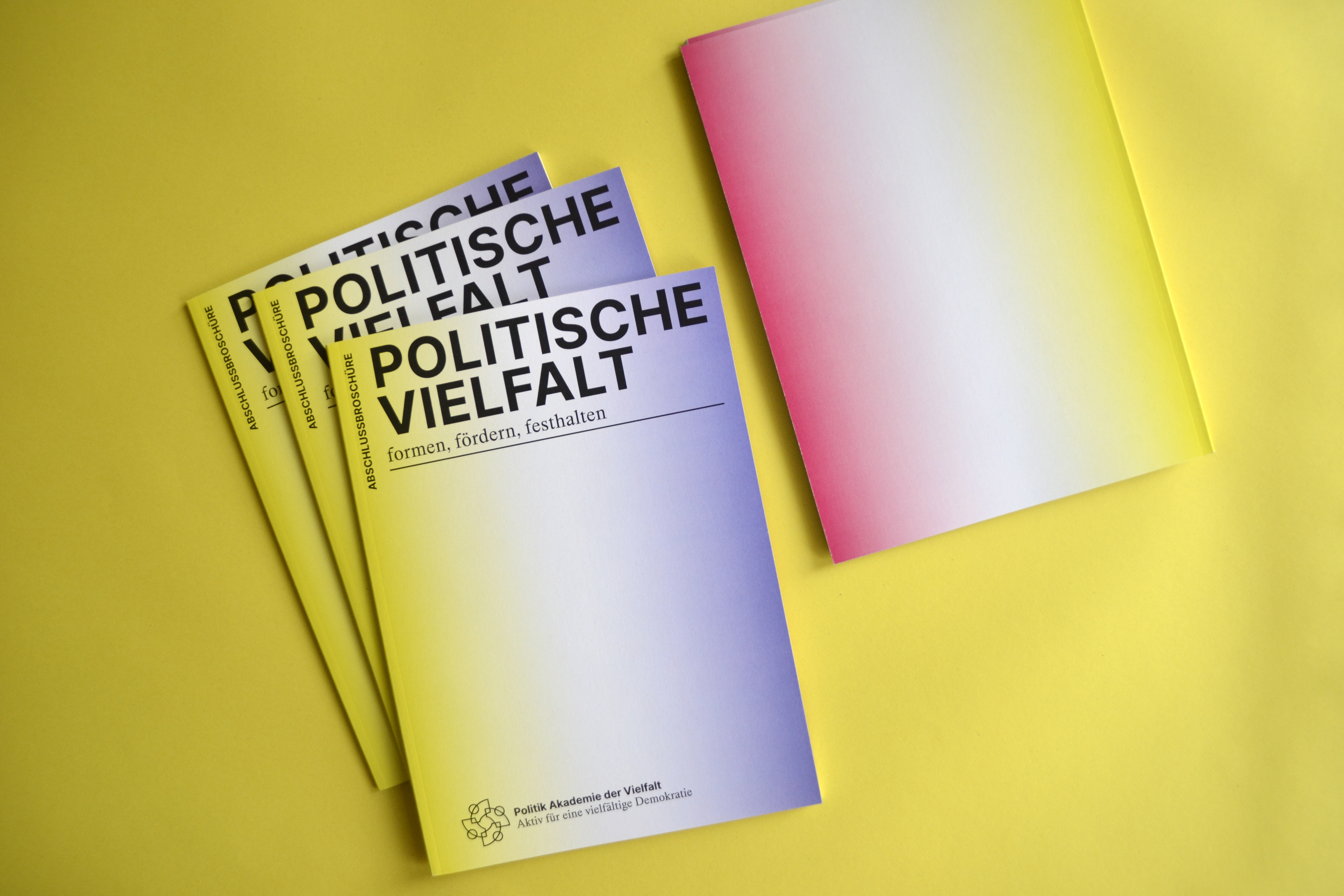 Brochure for Politik Akadmie der Vielfalt (BZI)  Berlin, 2023