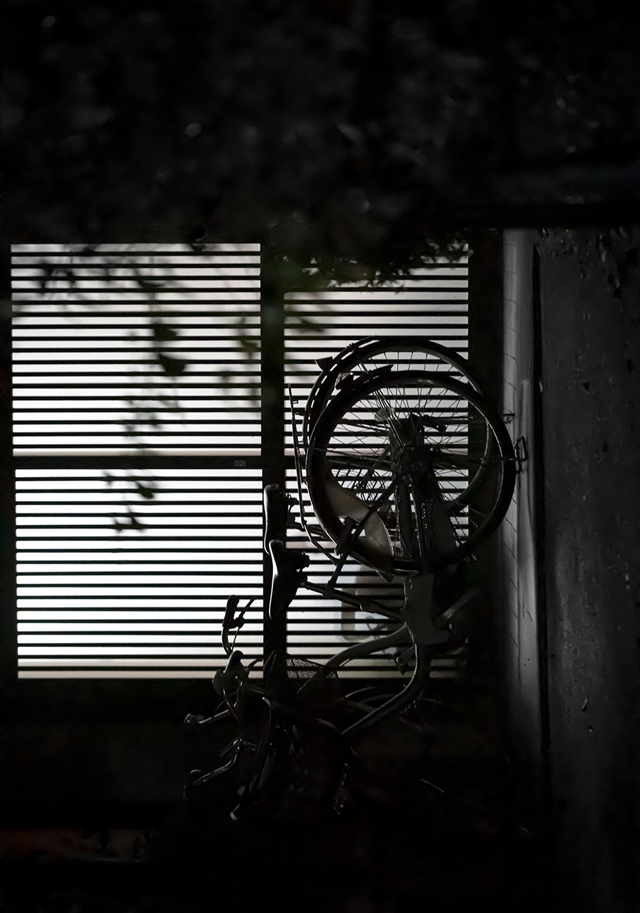 PHOTOGRAPHY RAF STUDIO  VILLA KUJOYAMA KYOTO ART CENTER SYNCHRONICITY EXHIBITION