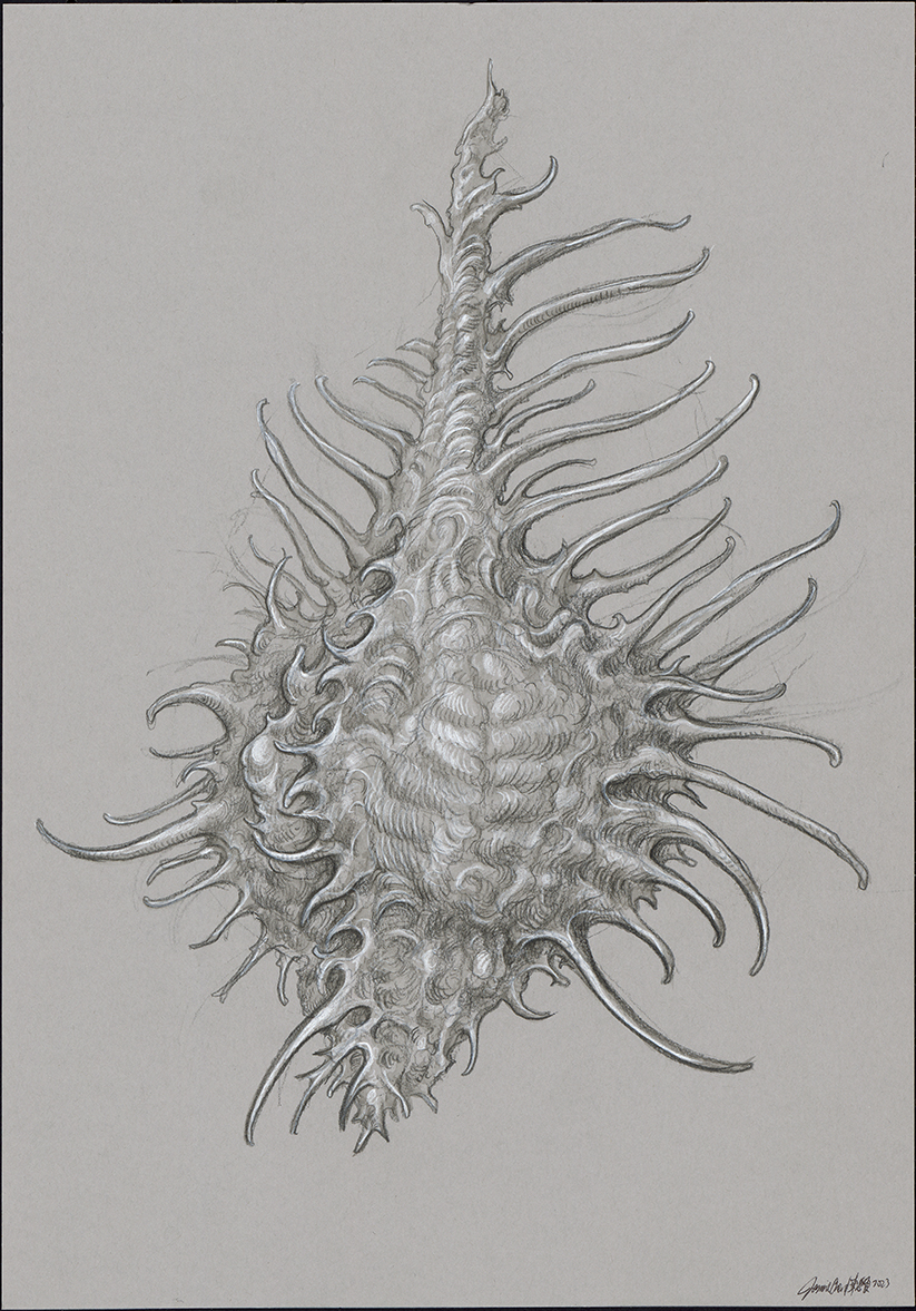 "Museum of Life Sciences Residency - drawing 4", pencil on paper (A4)