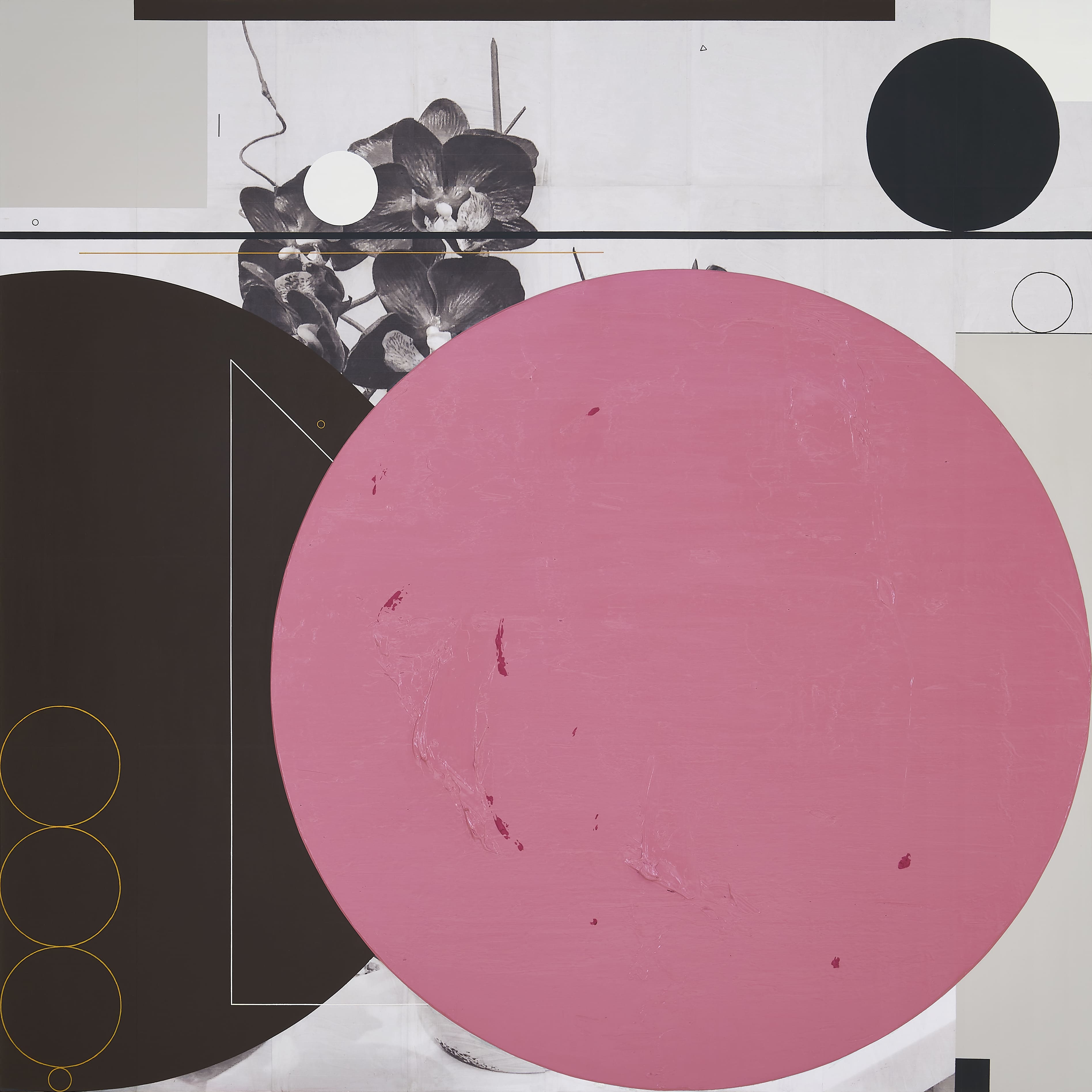  A Welcome Orchid, 2020, Acrylic and Photo-Collage on Canvas, 160 x 160 cm