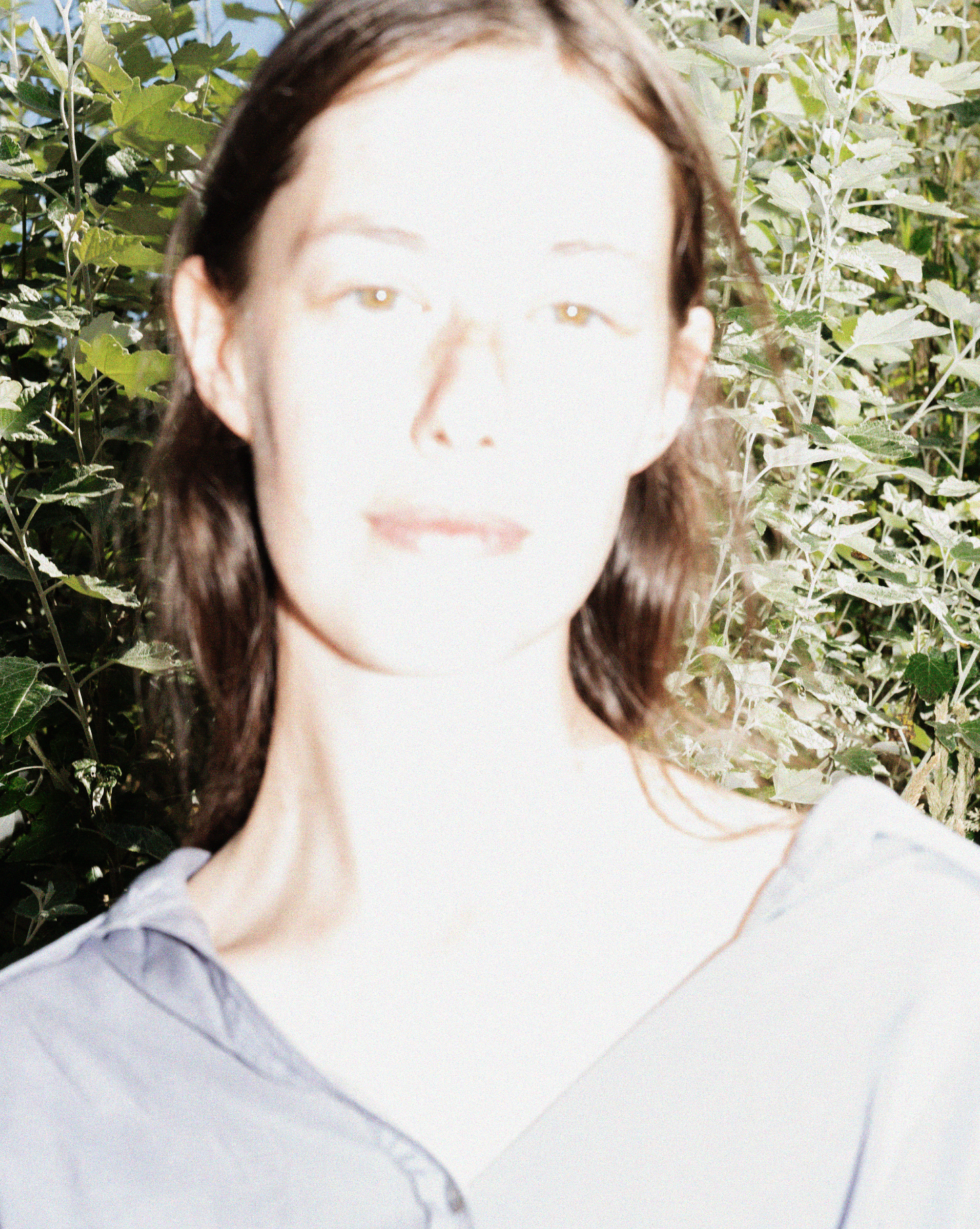 Sylvie Nehill, Musician