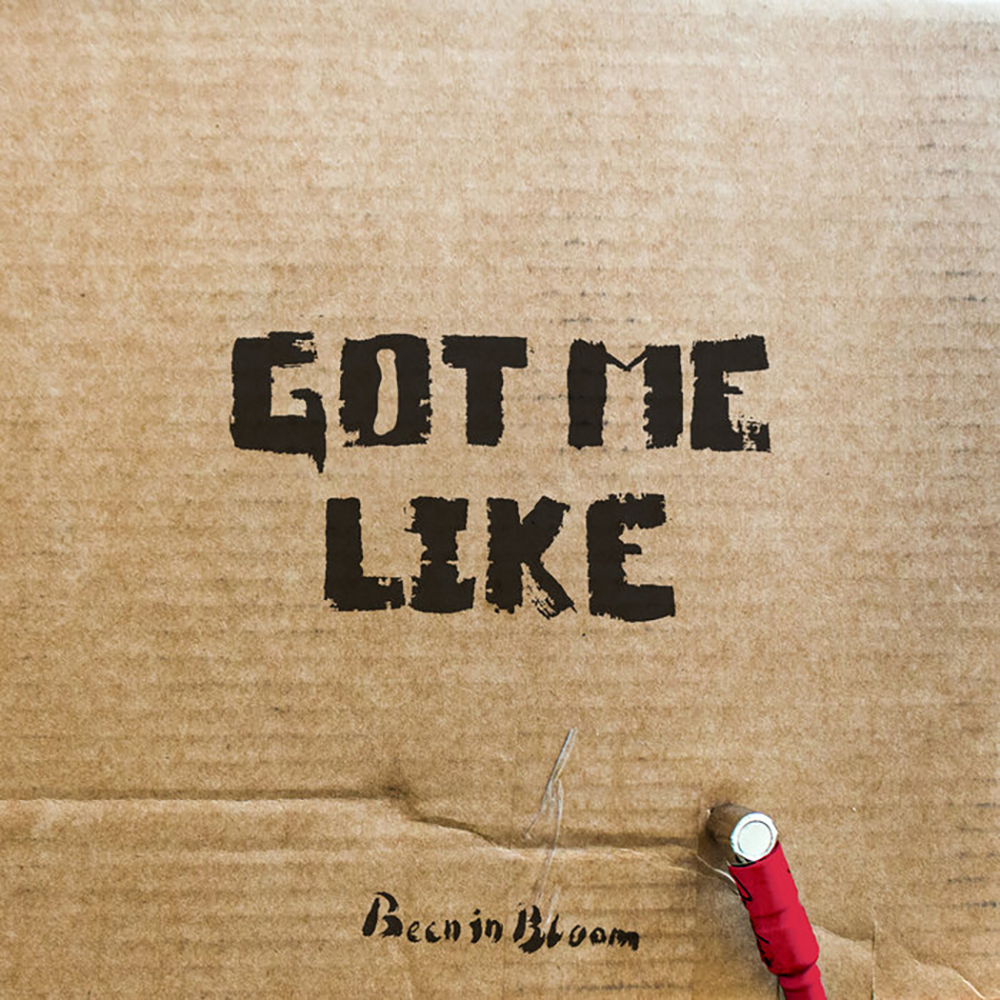 Been In Bloom - Got Me Like (2020)