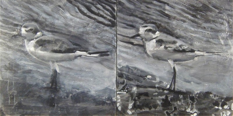 Snowy Plovers (2001 - )acrylic/canvas  36x48”