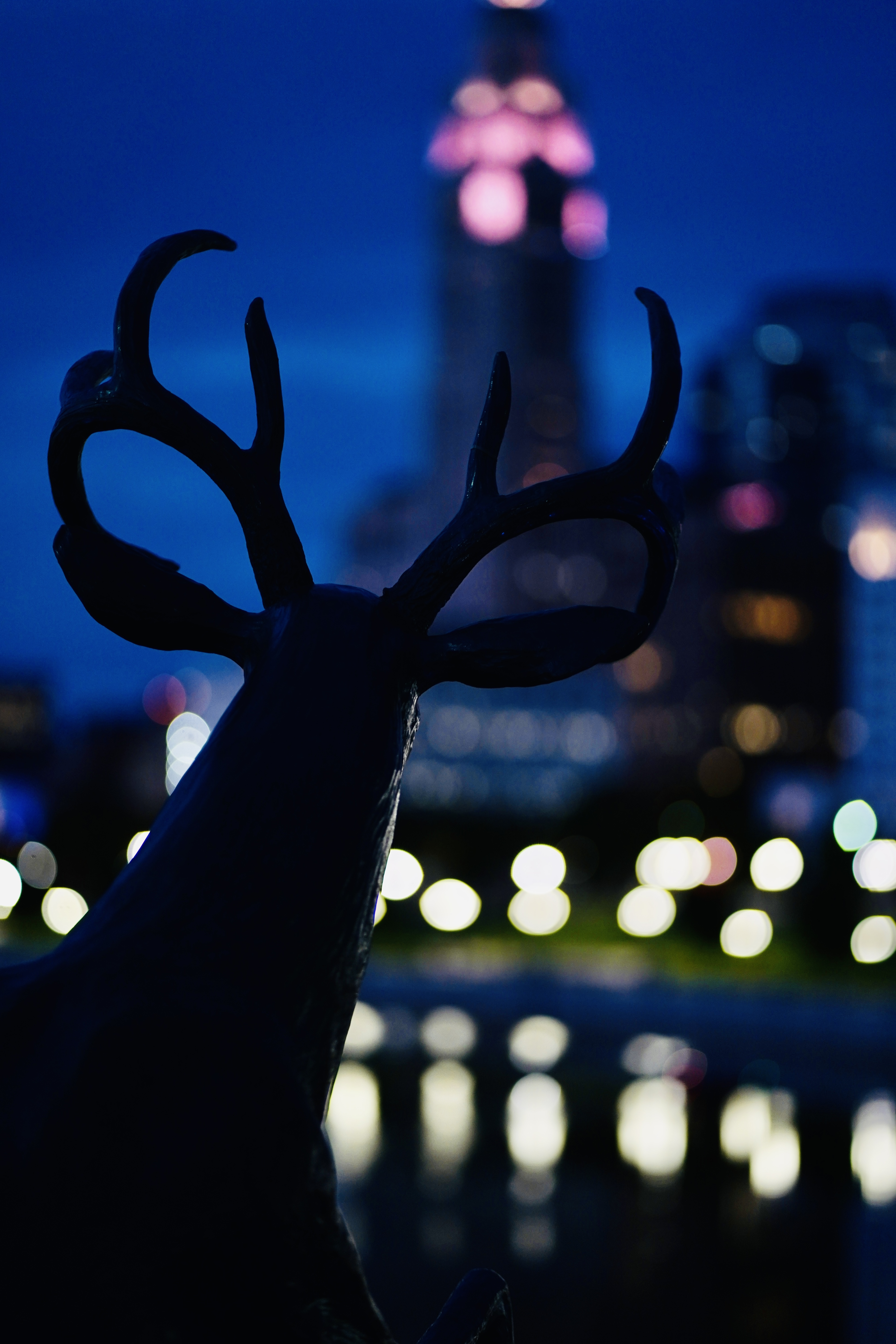 Columbus, OH/August 21'