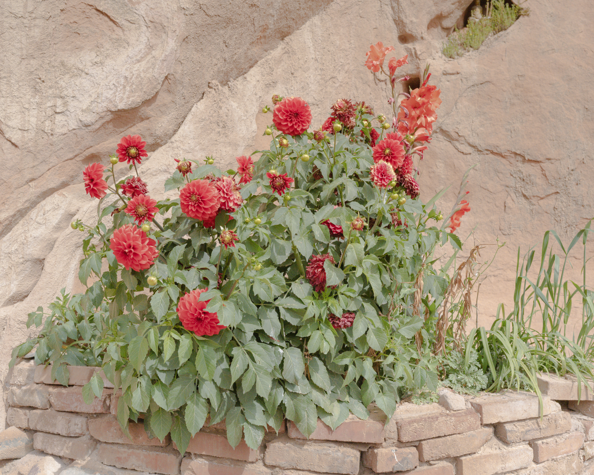 Tenderness in the vastness, 2021