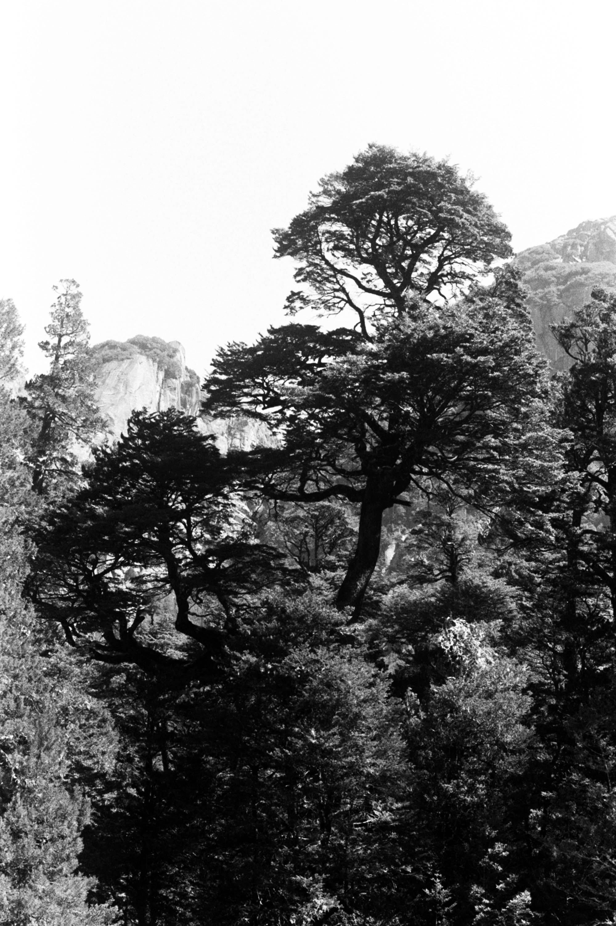 Patagonia, Argentina 2020 (35mm)