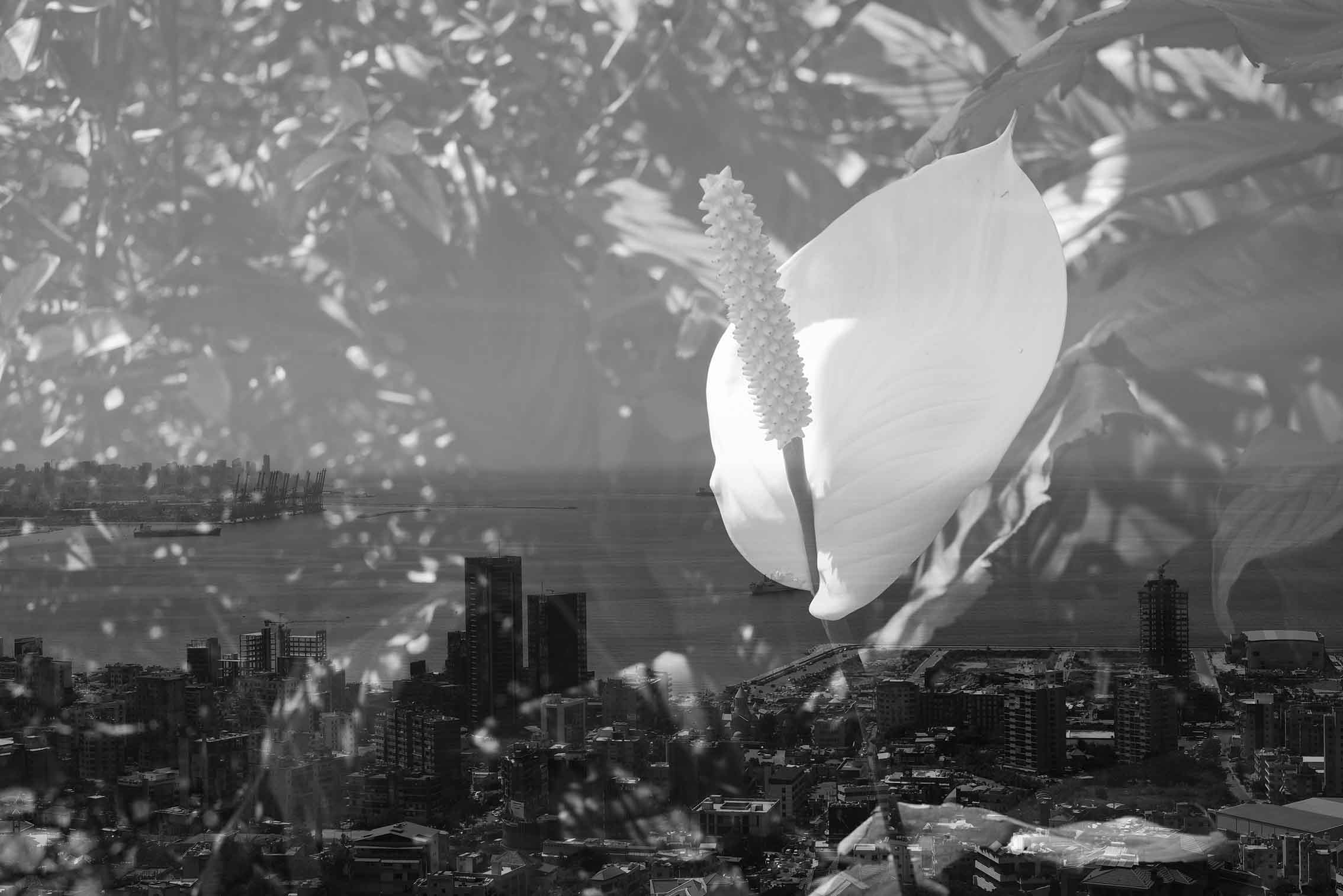 Exposition multiple 12, Avril 2018