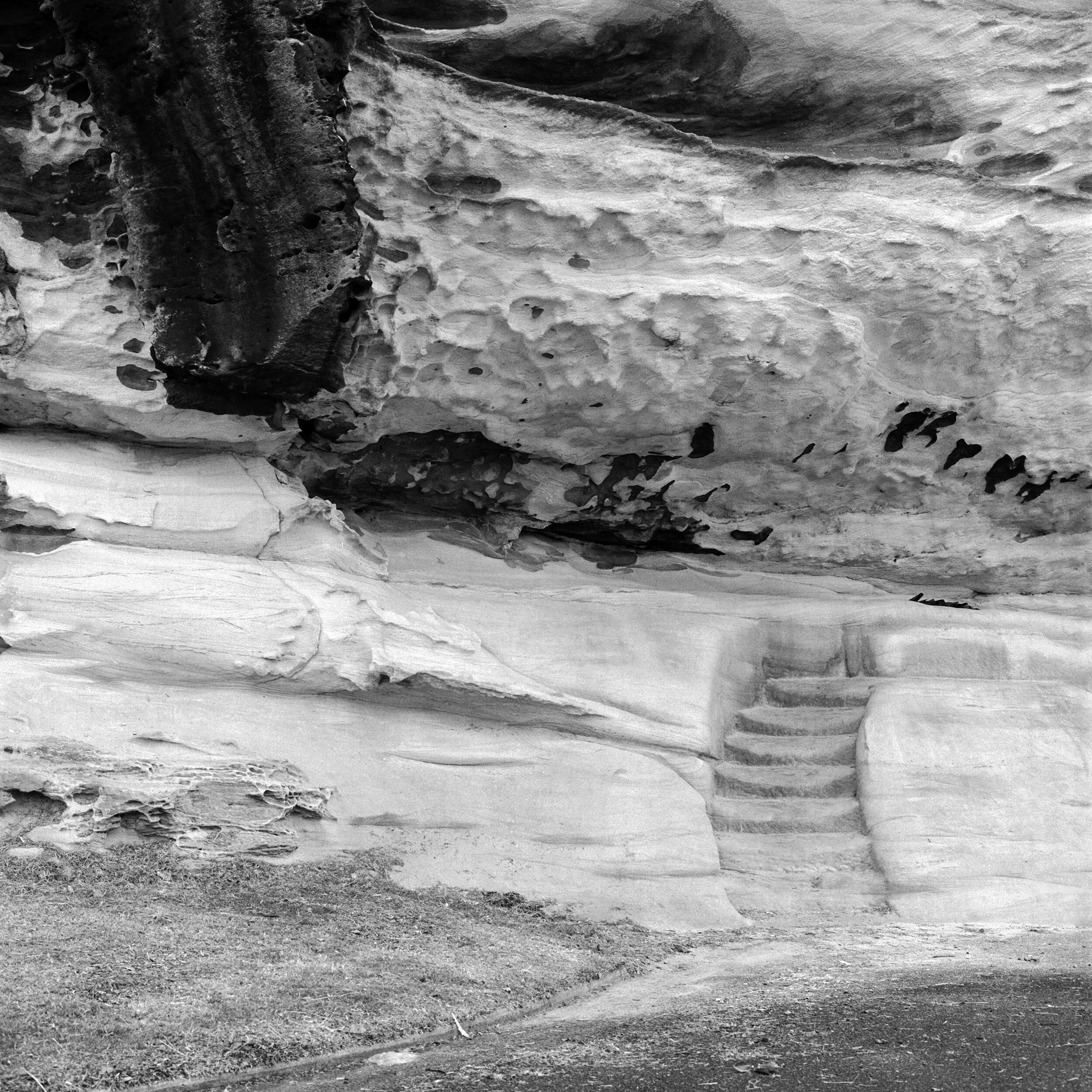 STEPS, New South Wales