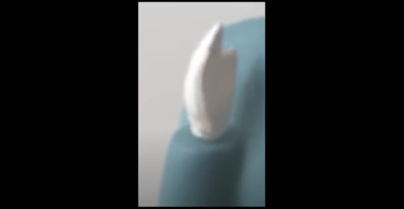 Robyn Penn, "The world is not a collection of things, it is a collection of events" (film still), 2018, digital video with sound (looped), 0.54s