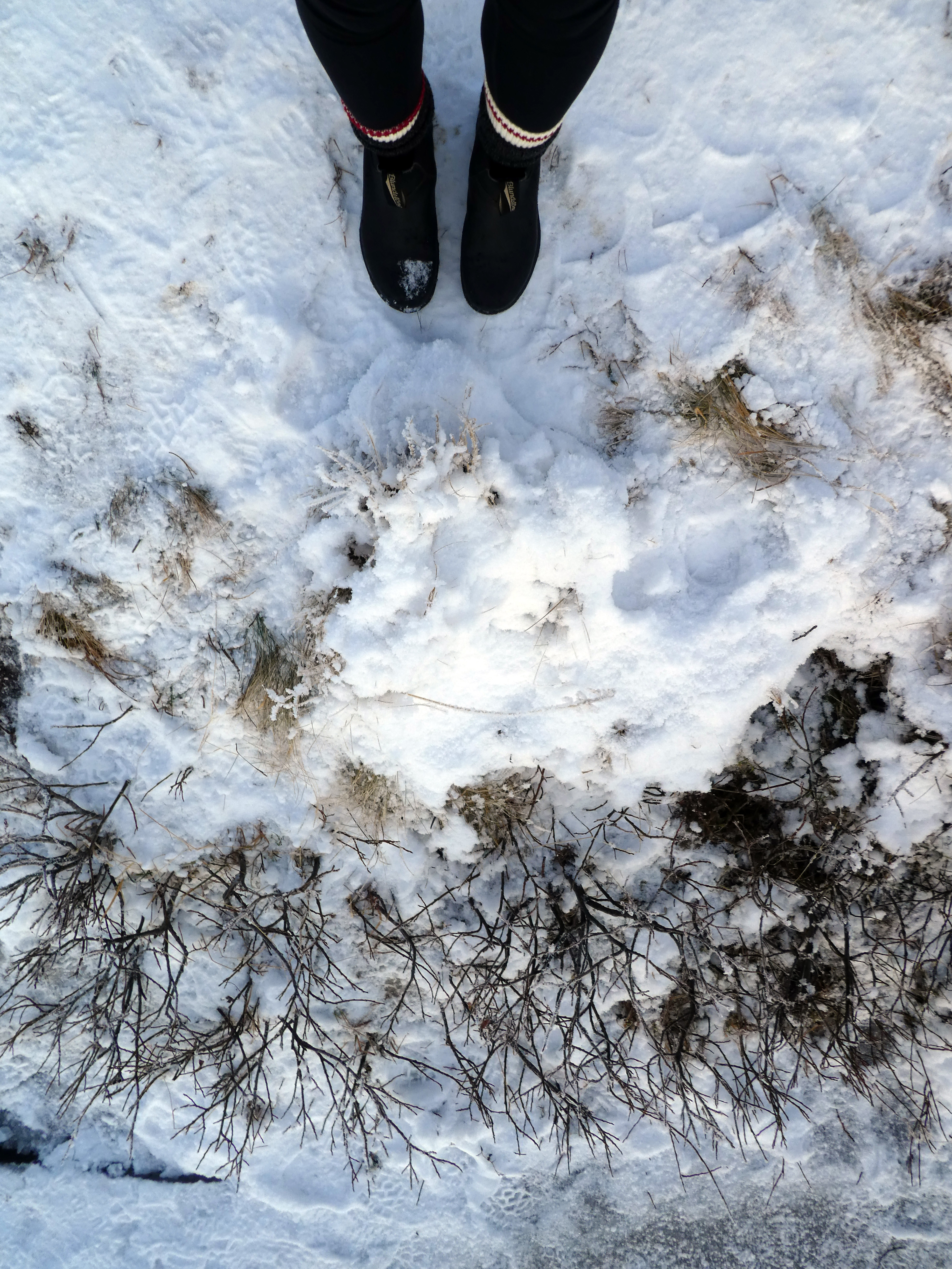 Thingvellir National Park